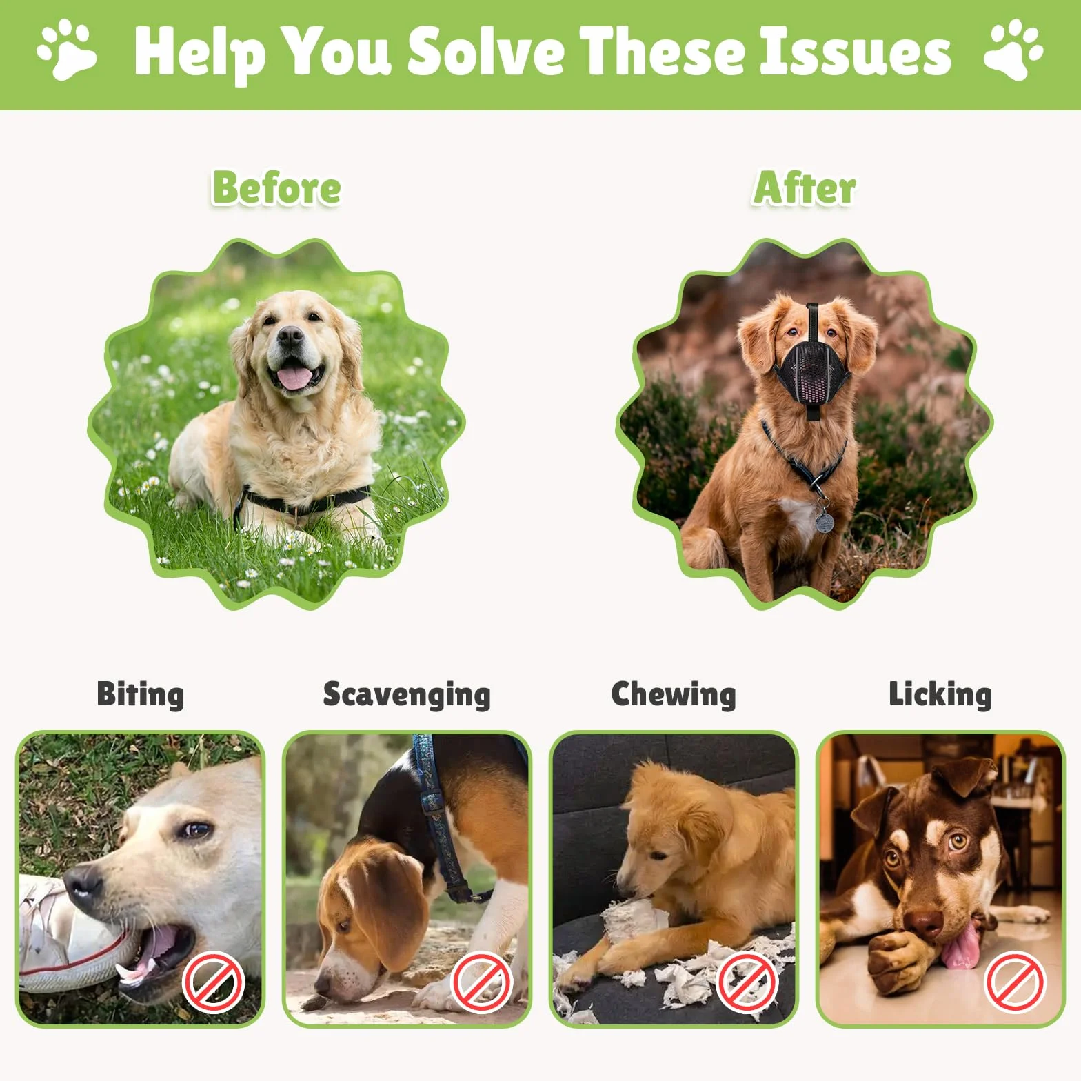 Muselières pour Chiens Anti-Grignotage, Colliers pour Chiens, Muselières Respirantes Réglables pour Animaux de Compagnie,Prévenir l'ingestion Accidentelle,Convient Animaux de Moyenne Taille(M)