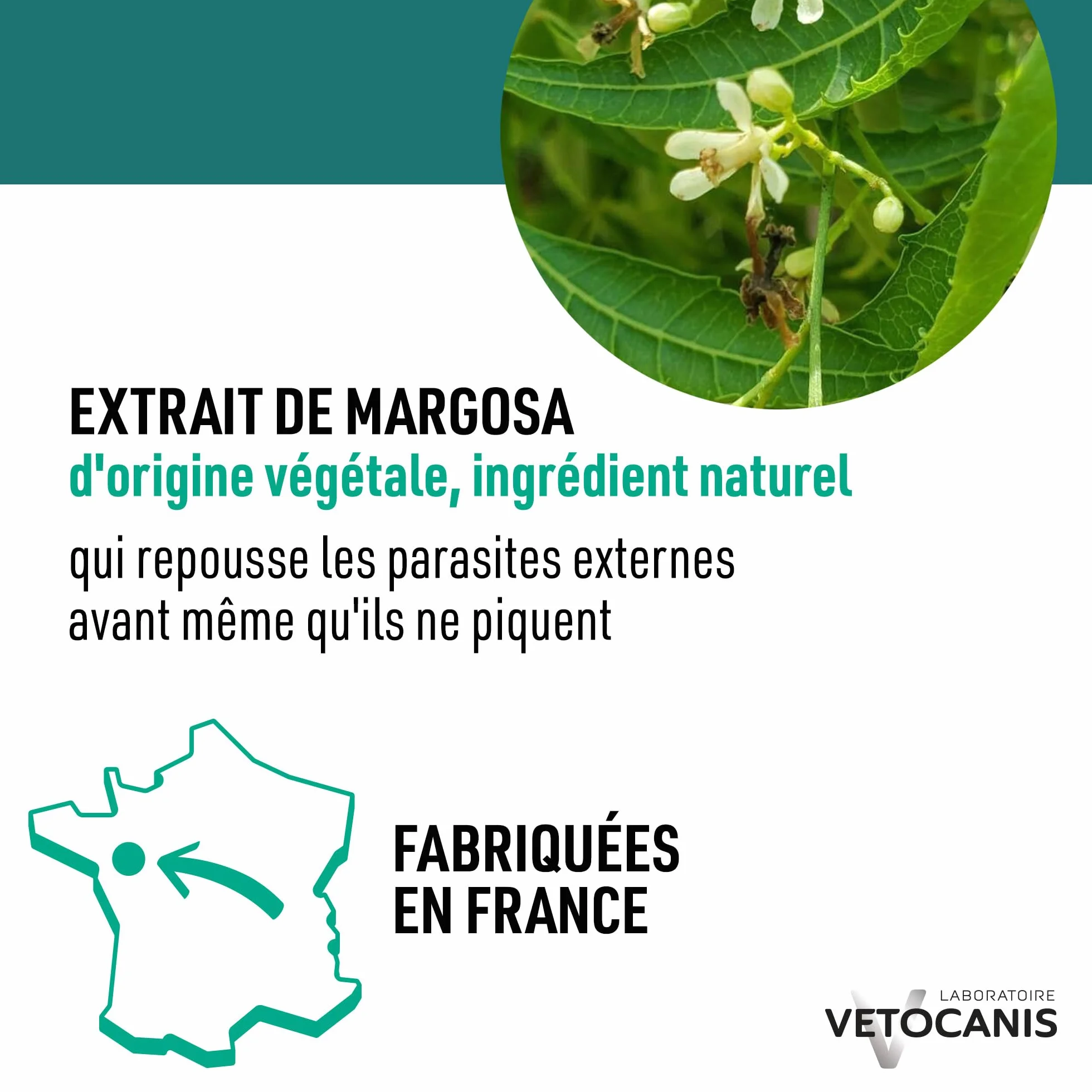 Vetocanis, Pipettes Anti Puces Chien, 2x1 Mois sans Tiques, Puces, Moustiques, Antiparasitaire Chien 2 à 10 kg, A base de Margosa, Répulsif Protection Immédiate, 2 Pipettes de 2 mL