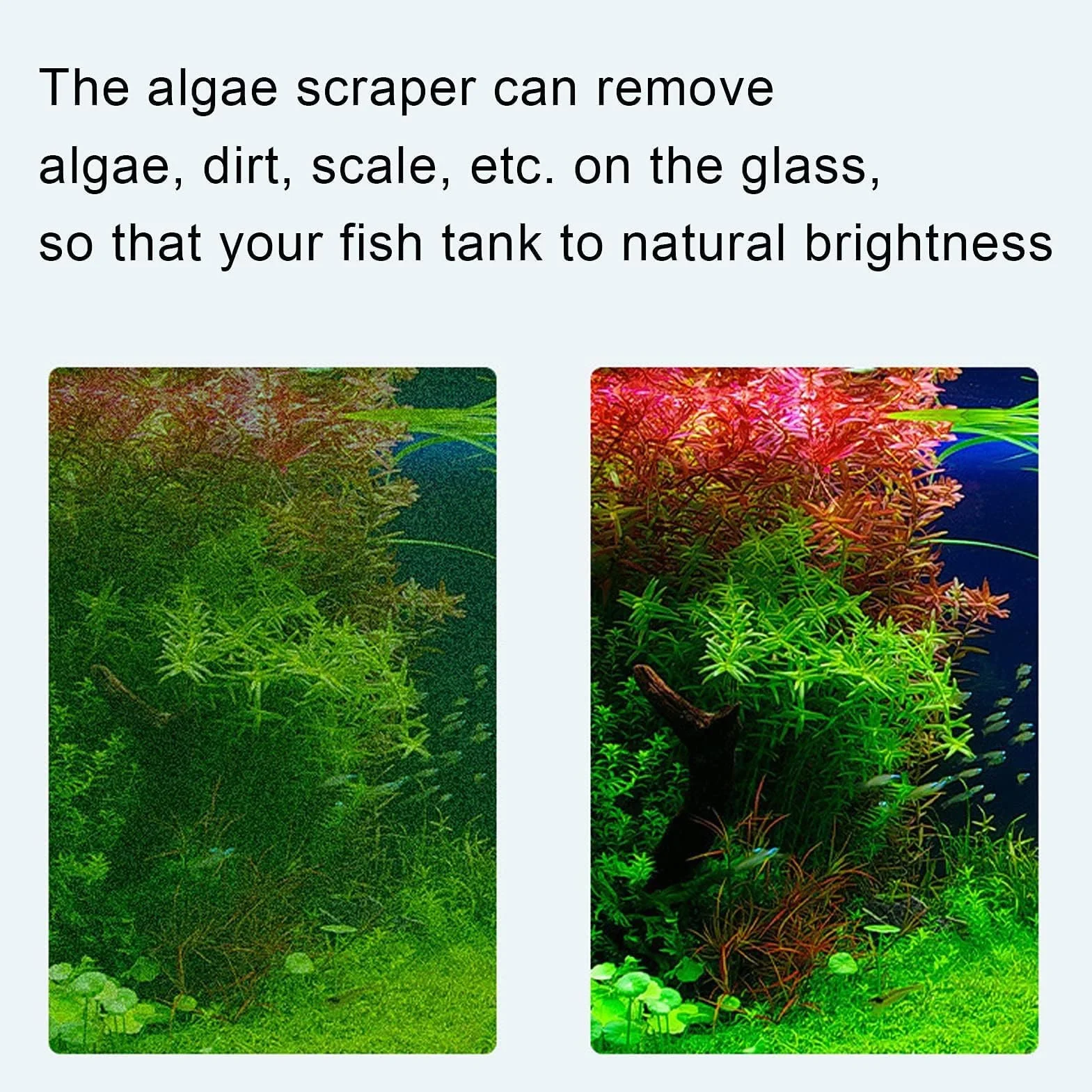 Grattoir à Algues pour Aquarium avec Manche Long, Nettoyeur de Verre avec Lames Remplaçables