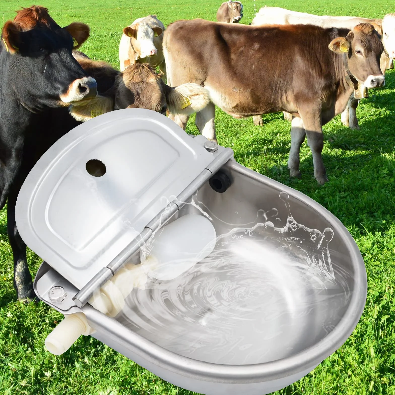 Abreuvoir Automatique en Acier Inoxydable pour Chevaux, Bovins avec 2 Flotteurs