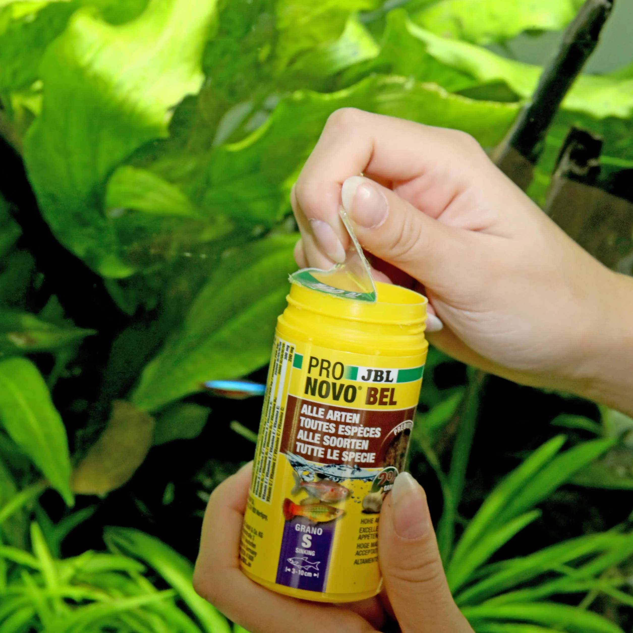 JBL PRONOVO BEL GRANO Aliment de Base pour Poissons d'Aquarium 3-10 cm Granulés Doseur à clic Taille S 100 ml