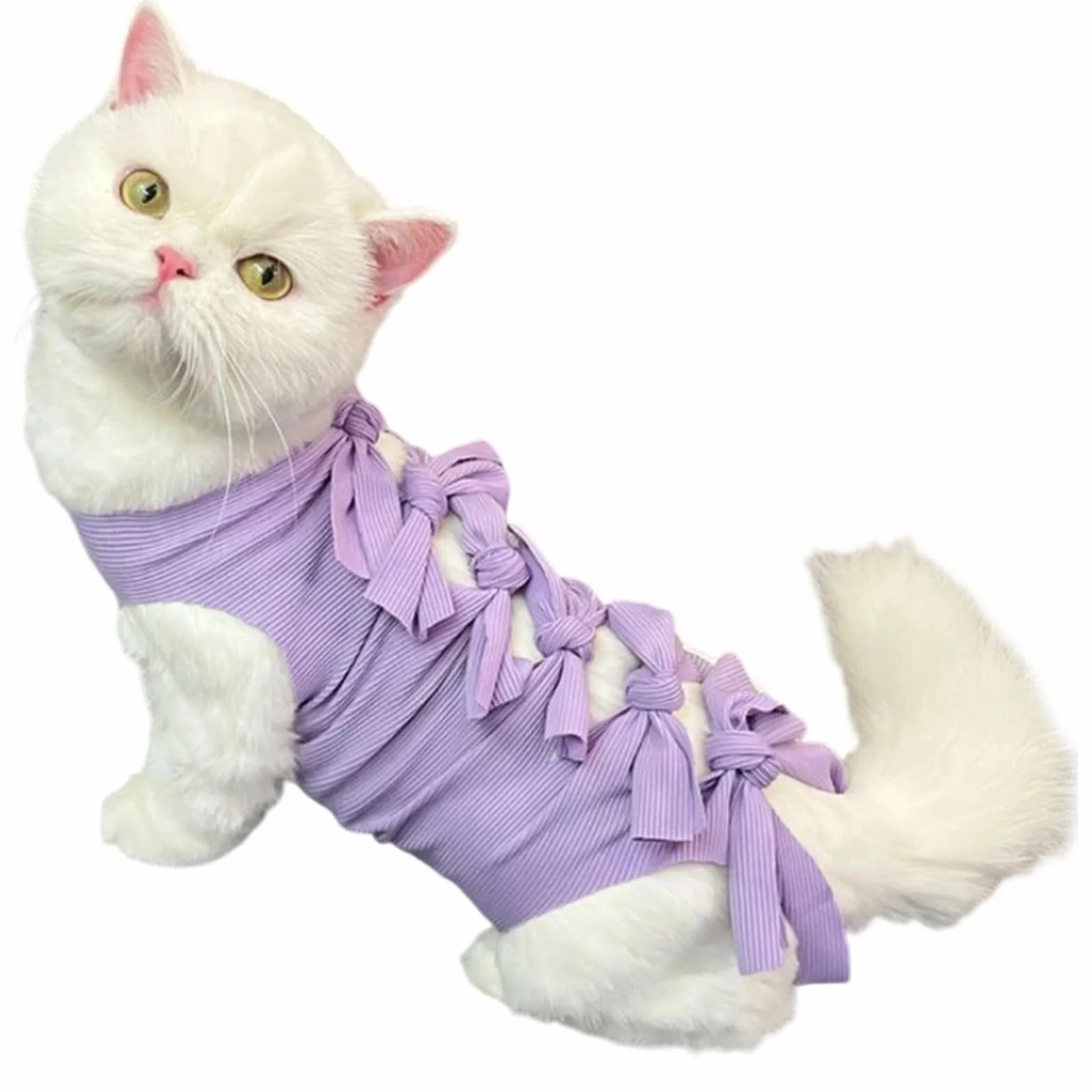 Combinaison Chirurgicale Réparatrice pour Chat Femelle Respirante | Vêtement de Protection Anti-Léchage pour Chats