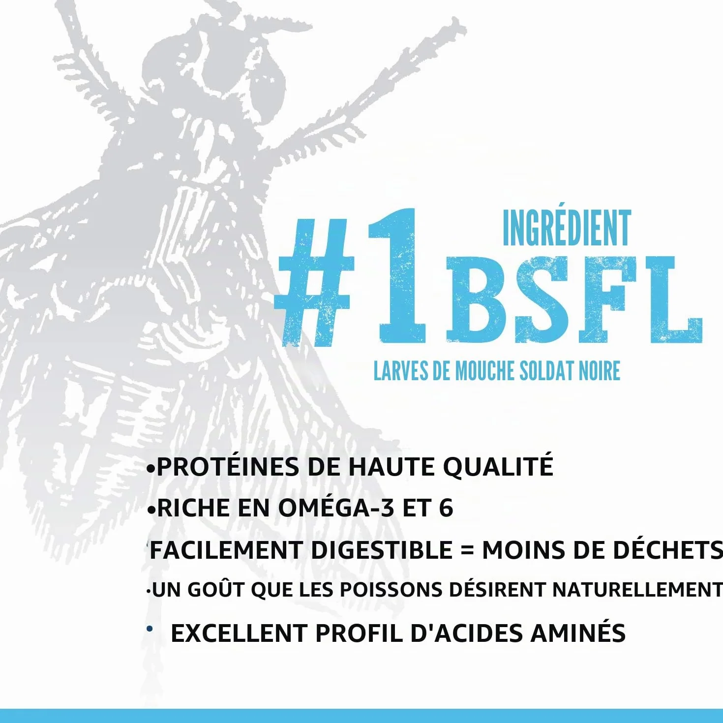 Fluval Bug Nourriture pour Poissons tropicaux Micro granules 0,7-1 mm 45 g