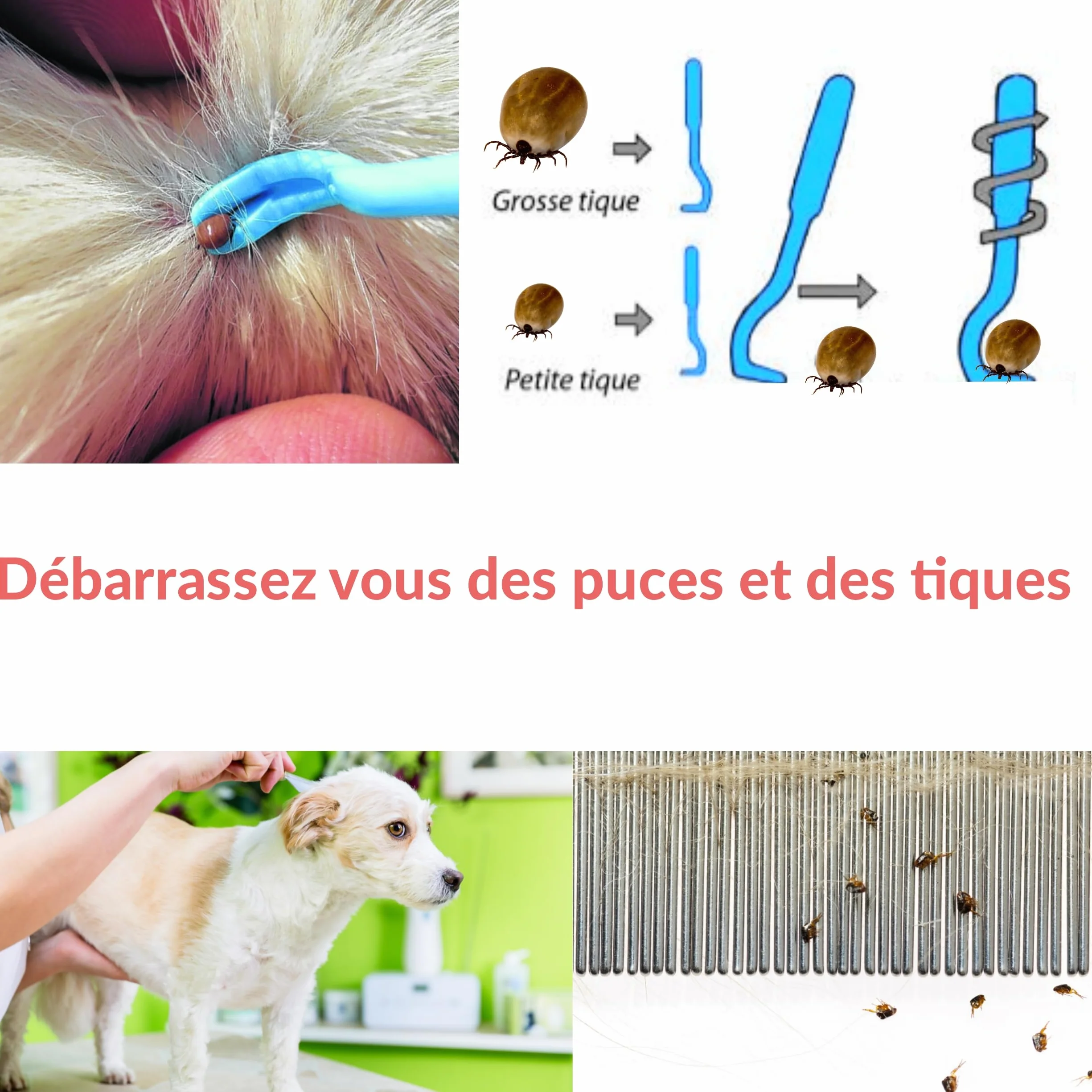 Peigne anti puce et tique pour chien chat Kit crochet tire tiques élimination naturelle Lot 5 pcs