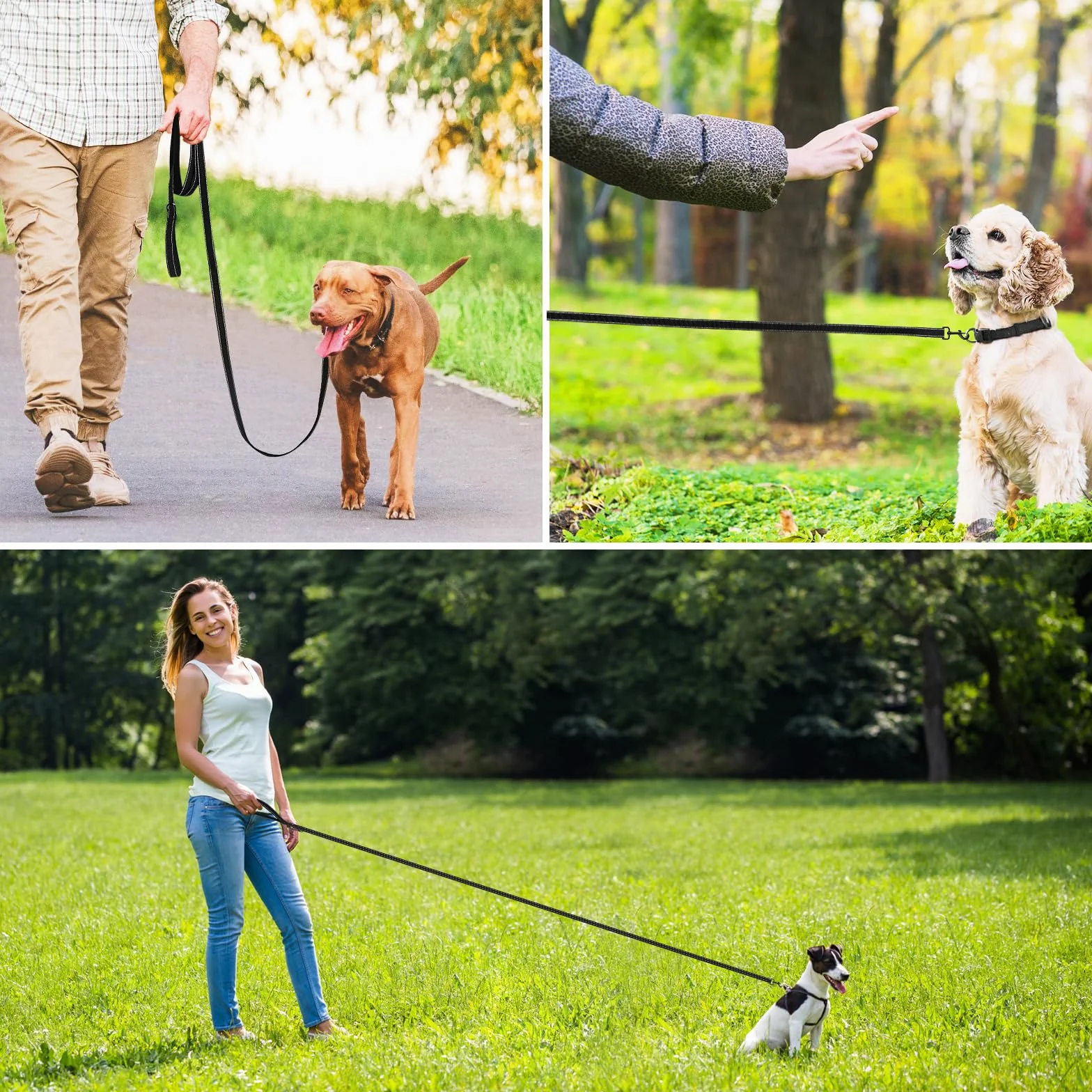 Longe pour Chien 3M 10M 20M 30M Laisse de Dressage Réfléchissant