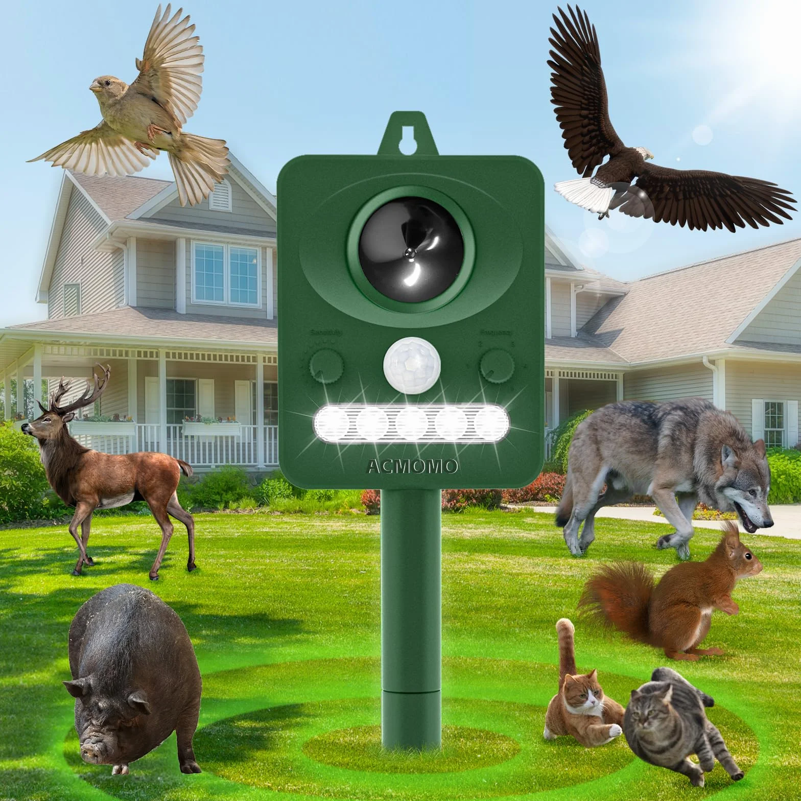 Répulsif Chat Ultrason Extérieur Puissant Étanche Capteur Mouvement 15m Recharge Solaire USB Anti Pigeons Balcon