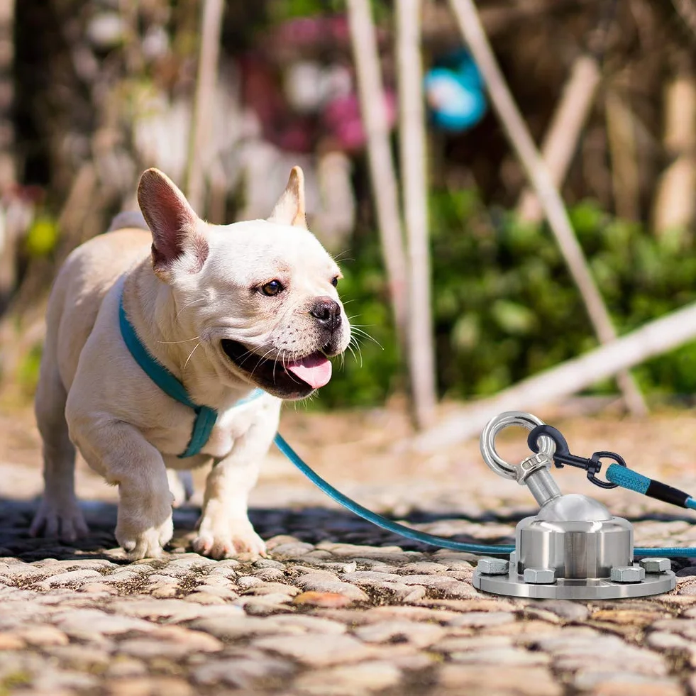 Piquet de pose pour chien à 360 ° - En acier inoxydable robuste - Sans laisse - Ancrage au sol pour chien - Pour extérieur et jardin