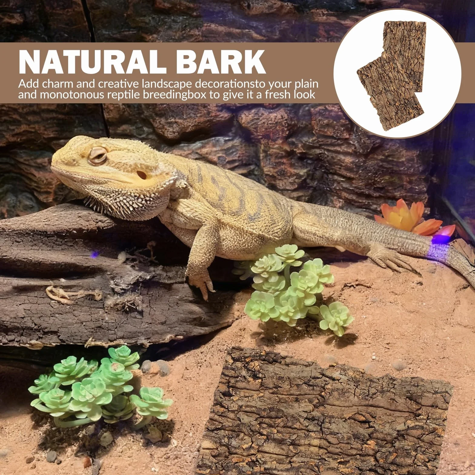 Lot de 3 écorces de liège pour terrarium 15 x 30 cm - Décoration d'arbre - Plaque de fond pour reptiles