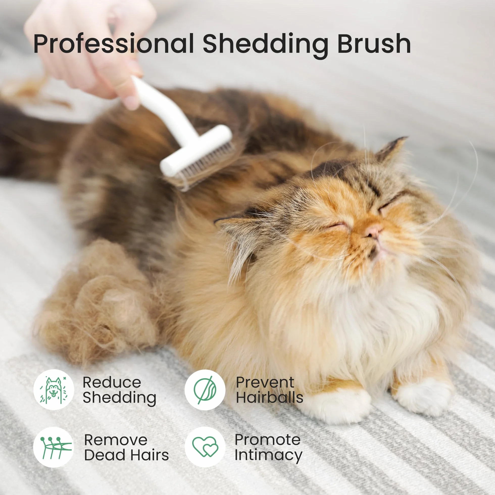 dancemoon PawRake Brosse pour Chats et Chiens Mue Démêlage sous-Poil Outil Toilettage Animaux Poils Mi-Longs Longs