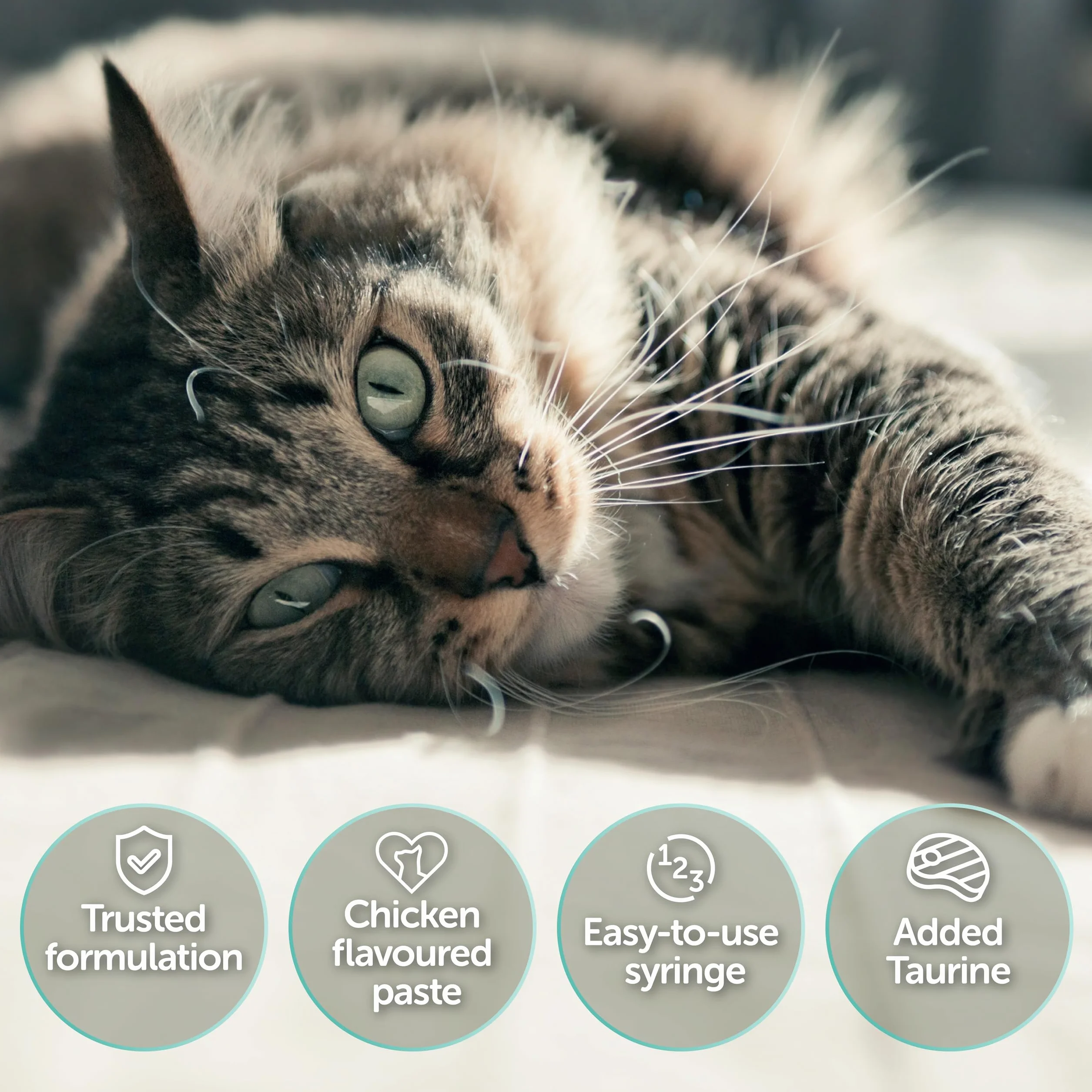 Pro-Kolin Advanced for Cats 15ml