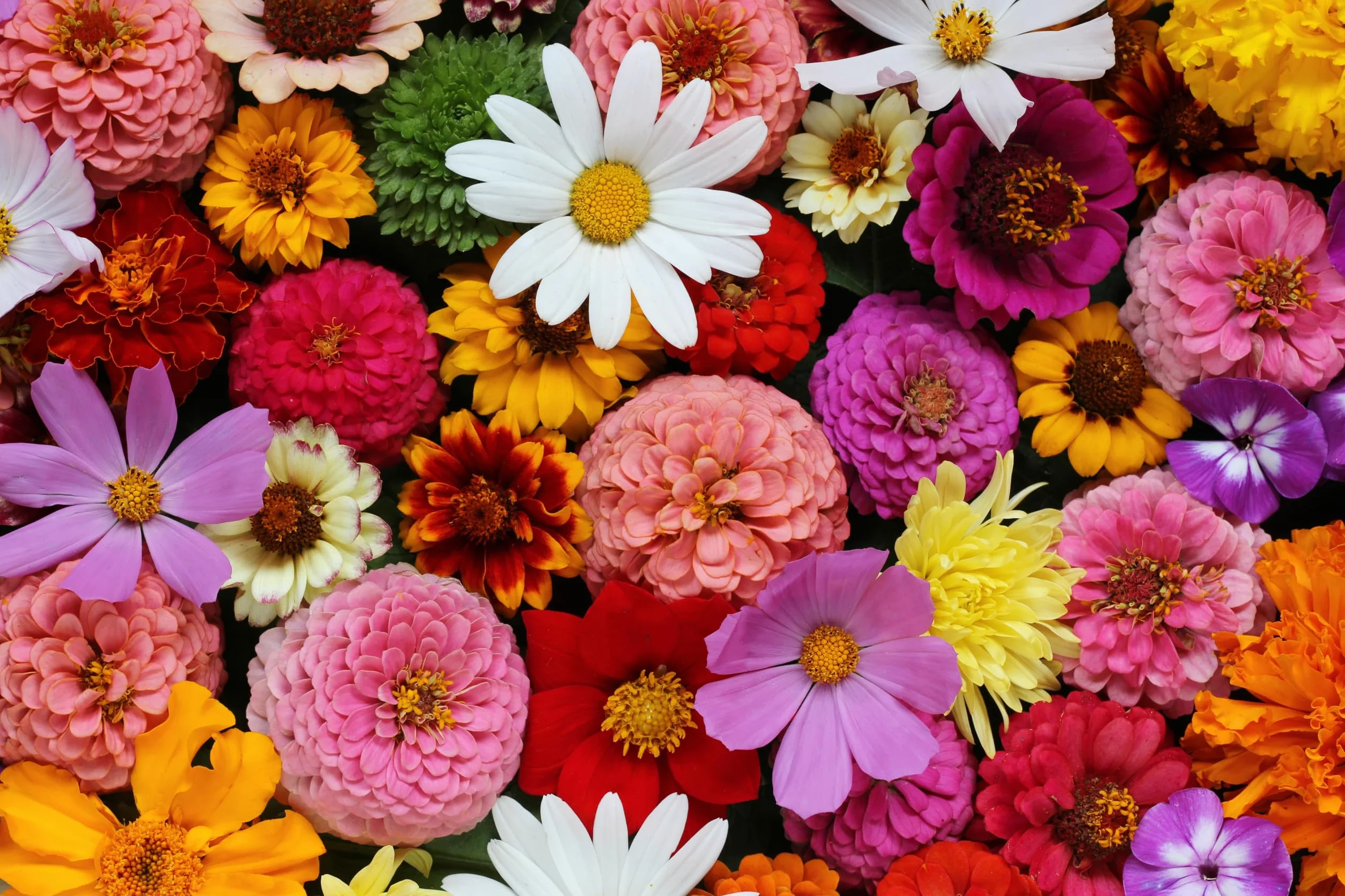 Désodorisant Spécial Cage à Rongeurs 750 g Parfum Fleurs