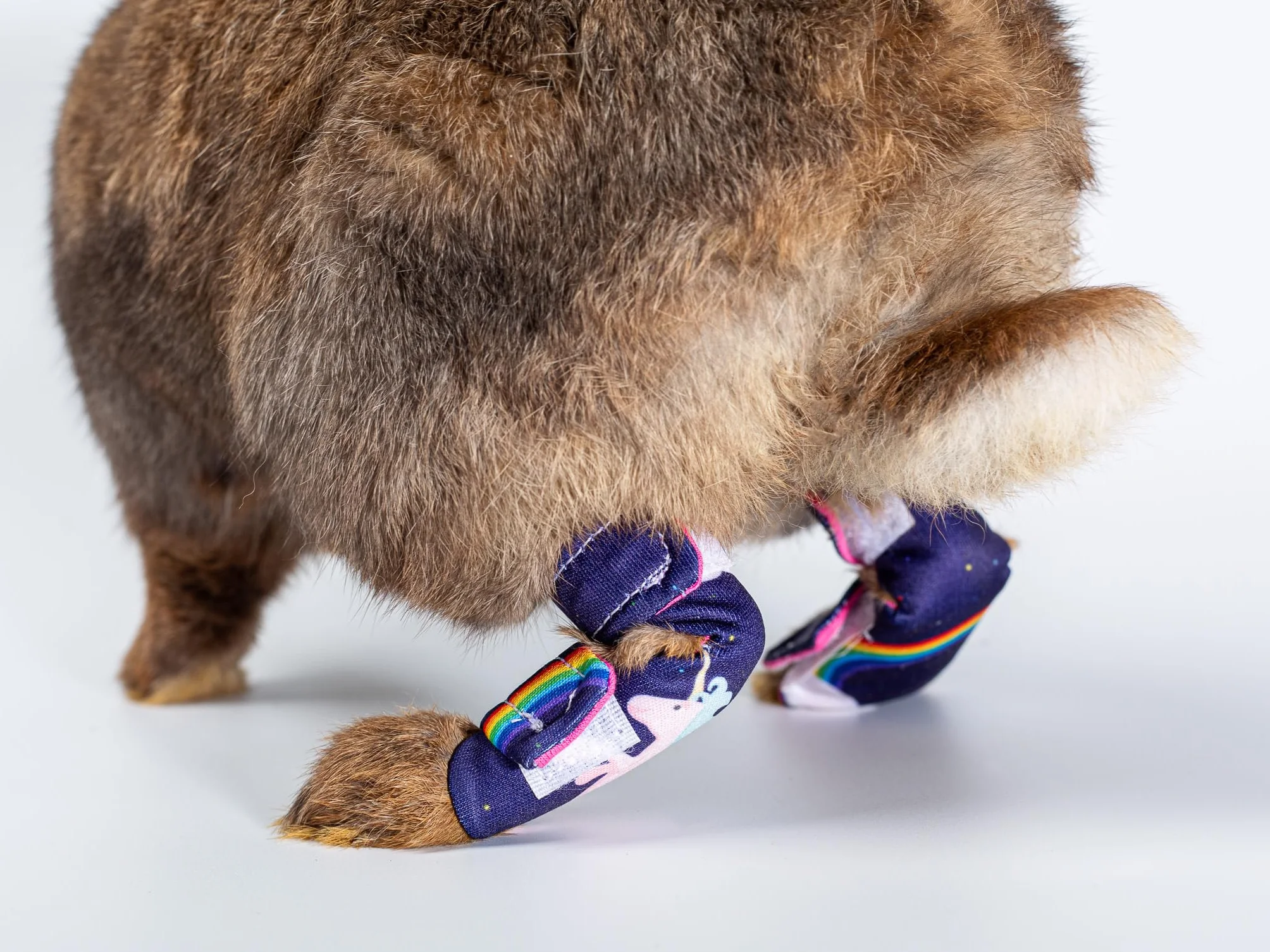 Chaussettes de protection pour lapins pododermatite abrasions