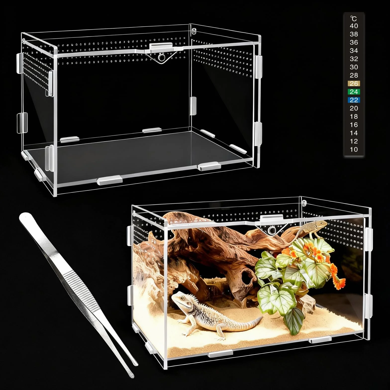 Terrarium à Escargots en Acrylique 360° 20x12x12cm Transparent Vivarium Cage d'Élevage Reptiles