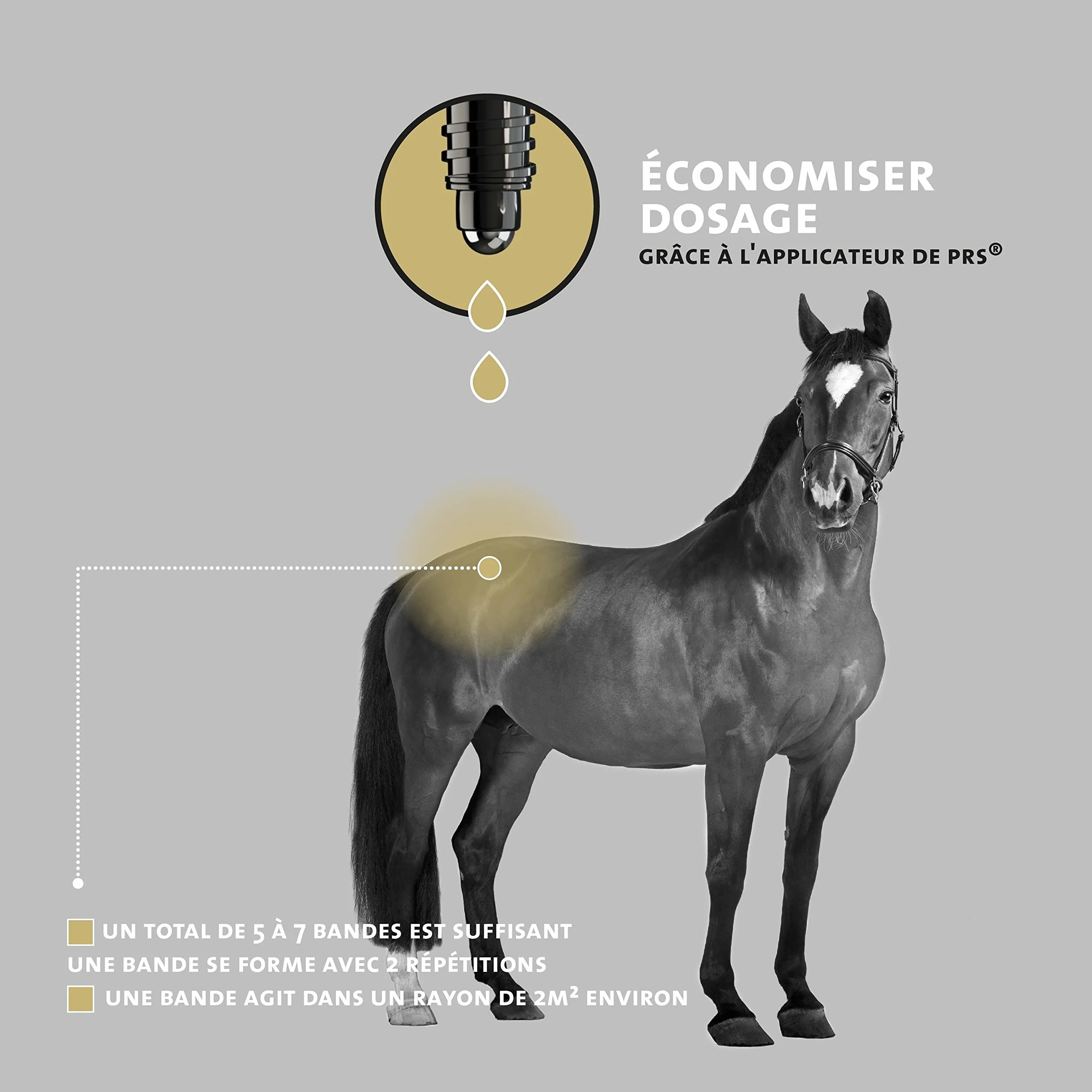Peticare Cheval Anti-Mouches Noires Roll-on - Défense Contre Mouches Noires, Prévient Dermite Estivale