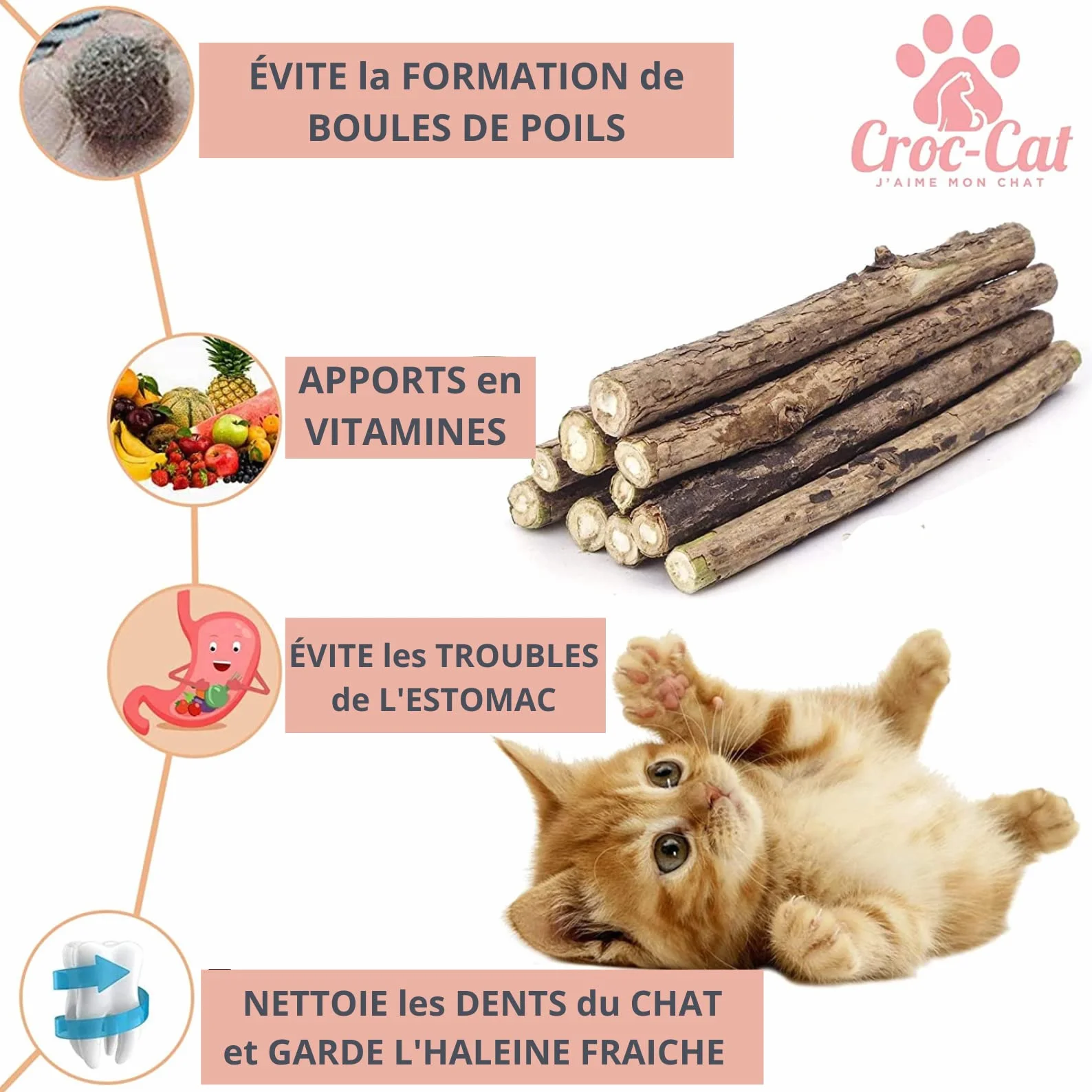 Croc-Cat® Baton Matatabi 10 pièces, Dentifrice Chat, Antistress, Herbe à Chat