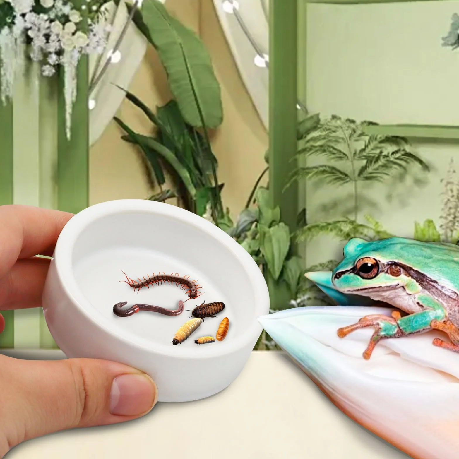 Mangeoire anti-éclatement céramique reptiles petits animaux gamelle évasion alimentaire bol eau M