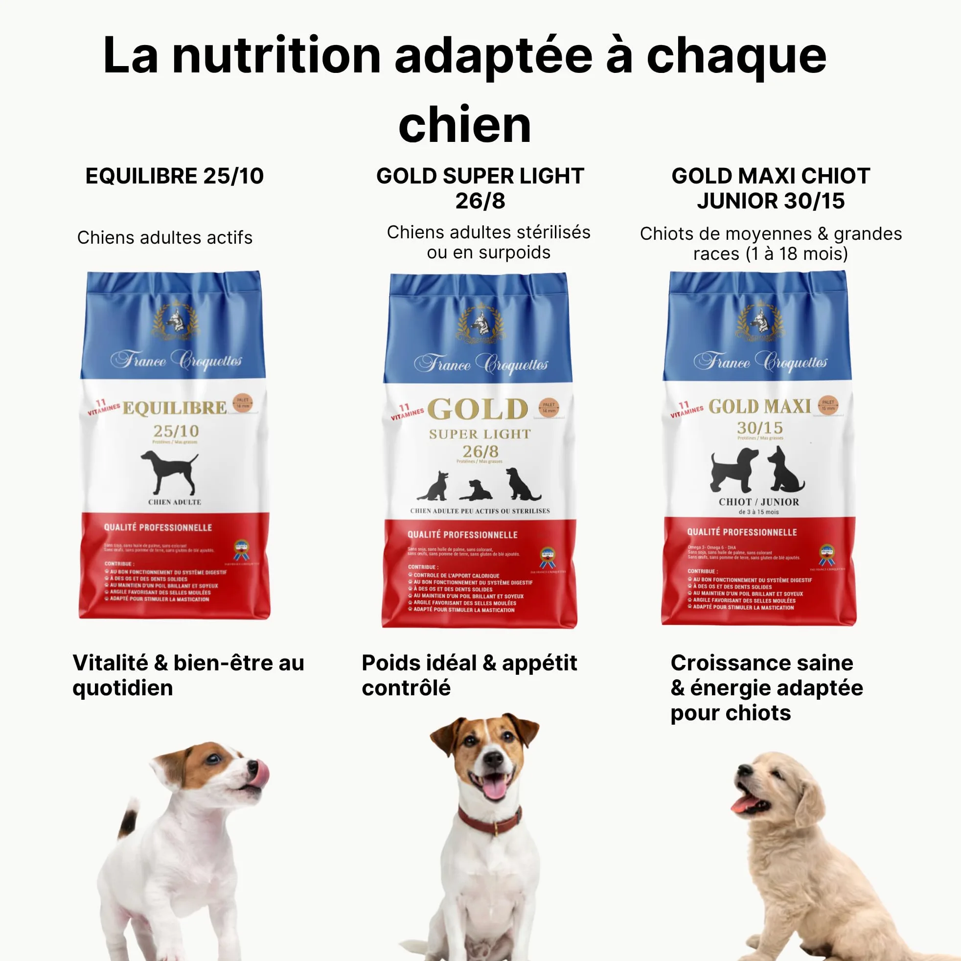 Croquettes hypoallergéniques Chien Adulte France Croquettes Royal Agneau – sans blé, hautement digestes, Riches en protéines, avec prébiotiques & probiotiques pour Flore intestinale Saine - 12KG