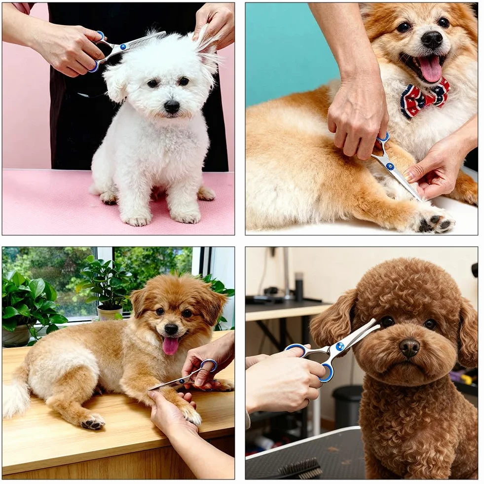 Ciseaux Toilettage Chien Professionnel, Ciseaux Toilettage Chien de Compagnie pour Animaux avec Pointe Ronde de Sécurité Ciseau Droit en Acier pour Chats Chiens et Autres Animaux