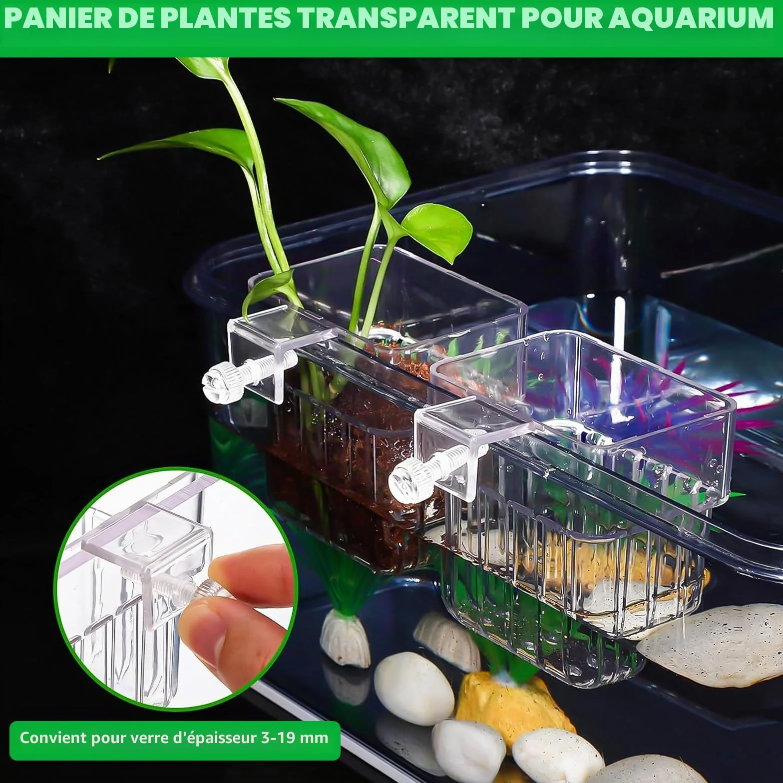 Support de Plante D'Aquarium Transparent, 4 Stück, Suspendu pour Aquarium Aquascape Décoration