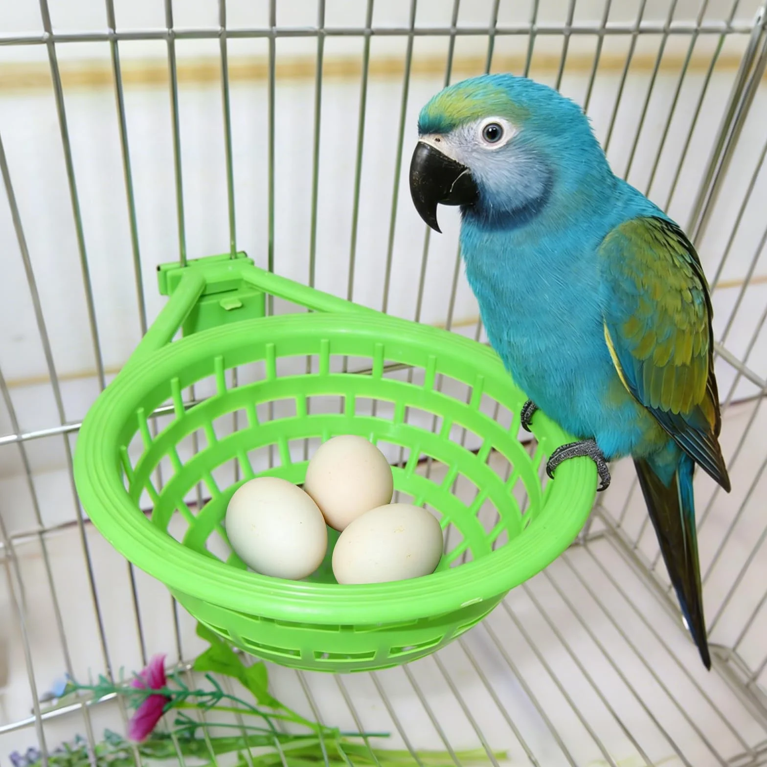 LATRAT Cage à Suspendre en Plastique pour Canaris Perroquet Pigeon Lot de 2
