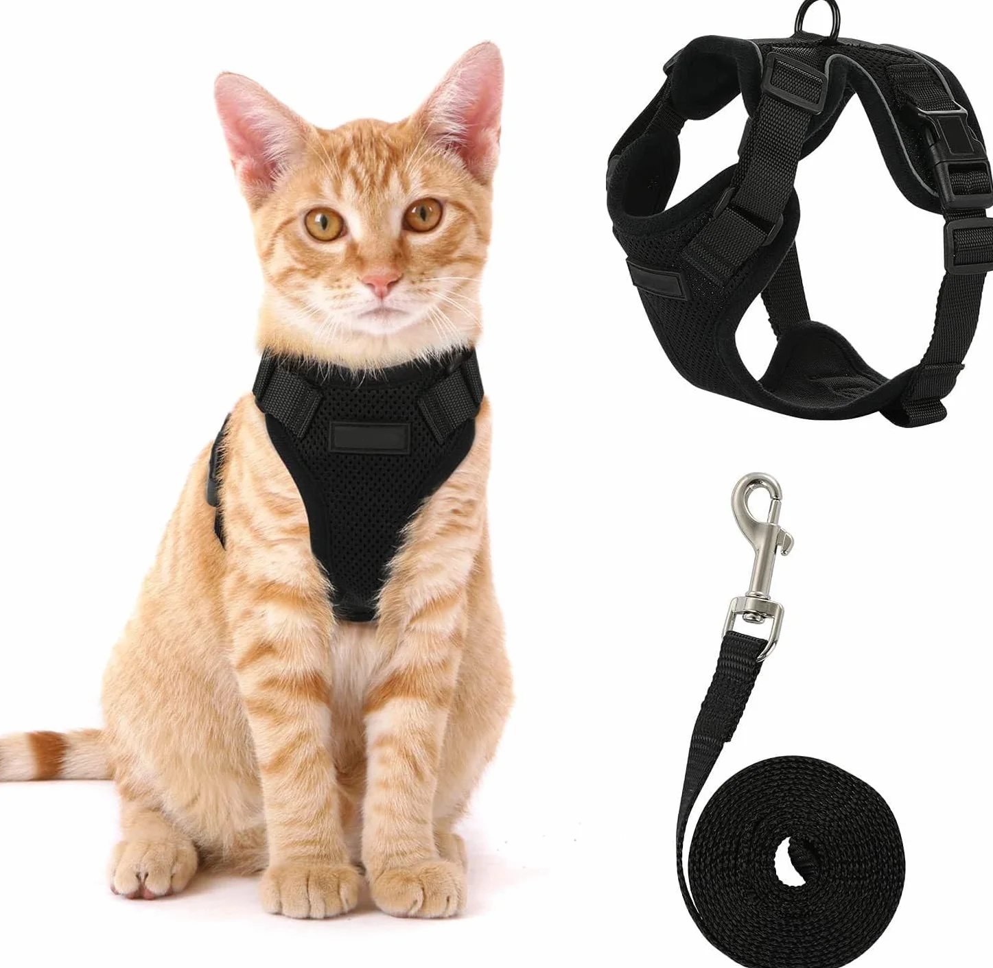 Harnais pour Chat Réglable avec Laisse 150 cm - Sécurité pour Chats Adultes et Chiots