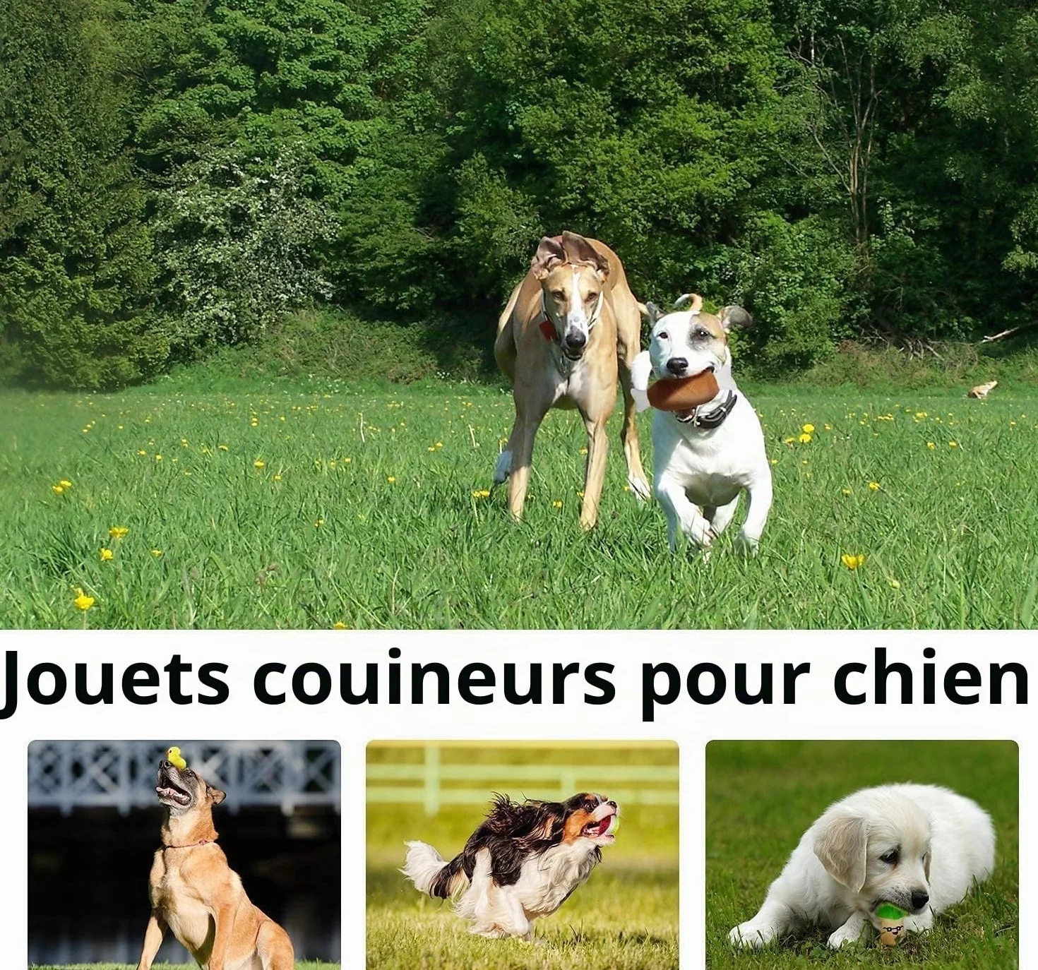 Legend Sandy Lot de 14 Jouets couineurs en Peluche pour Chiens Fruits Légumes