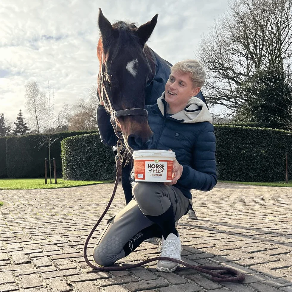 HorseFlex JointPower avec acide hyaluronique pour chevaux pour soutenir les articulations, les tendons, les ligaments, le cartilage et la synovia (liquide articulaire) – 3000 g