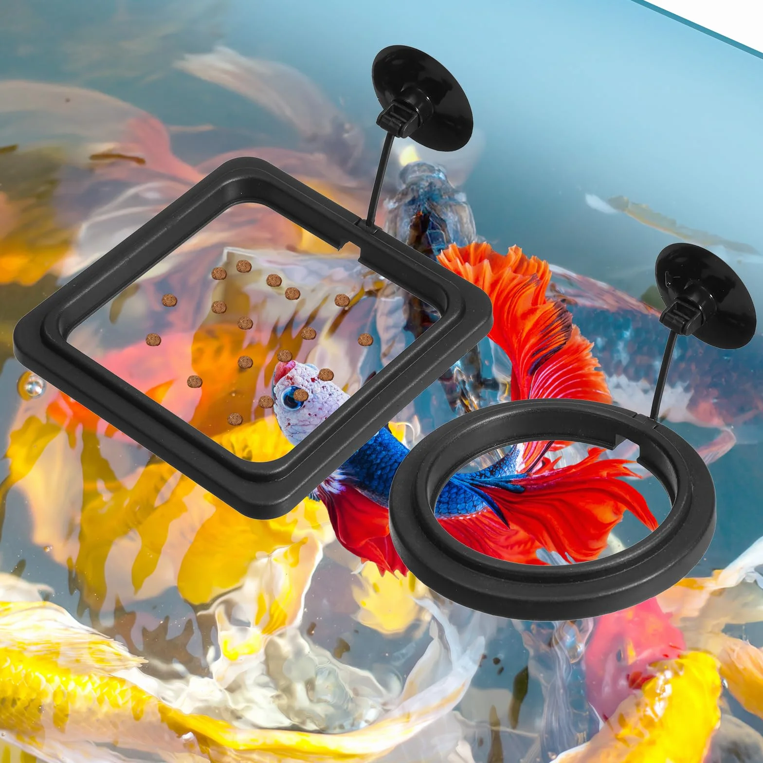 Lot de 2 anneaux d'alimentation pour poissons d'aquarium - Distributeur automatique avec ventouses - Noir