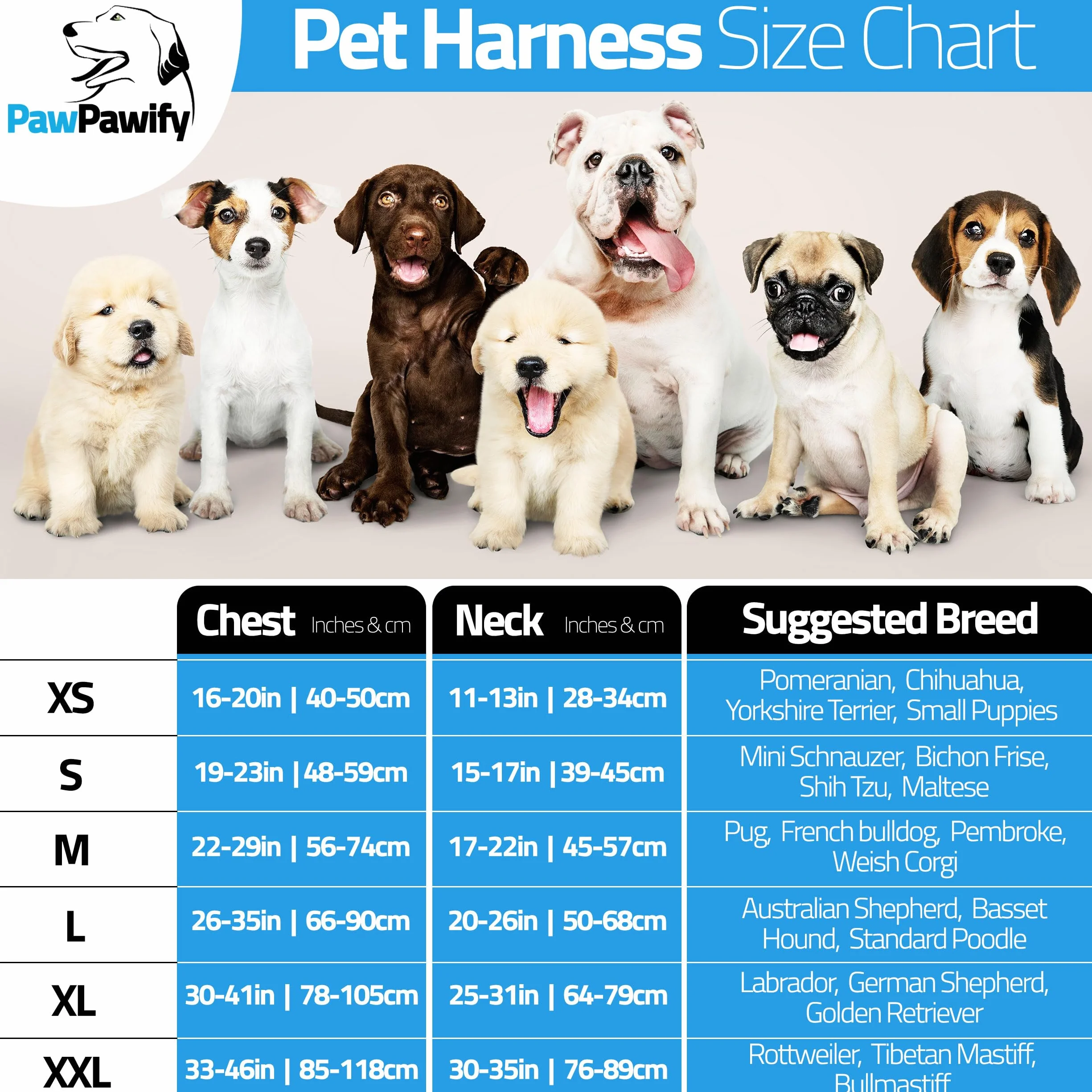 Harnais anti-traction pour chien personnalisé avec nom et numéro de téléphone