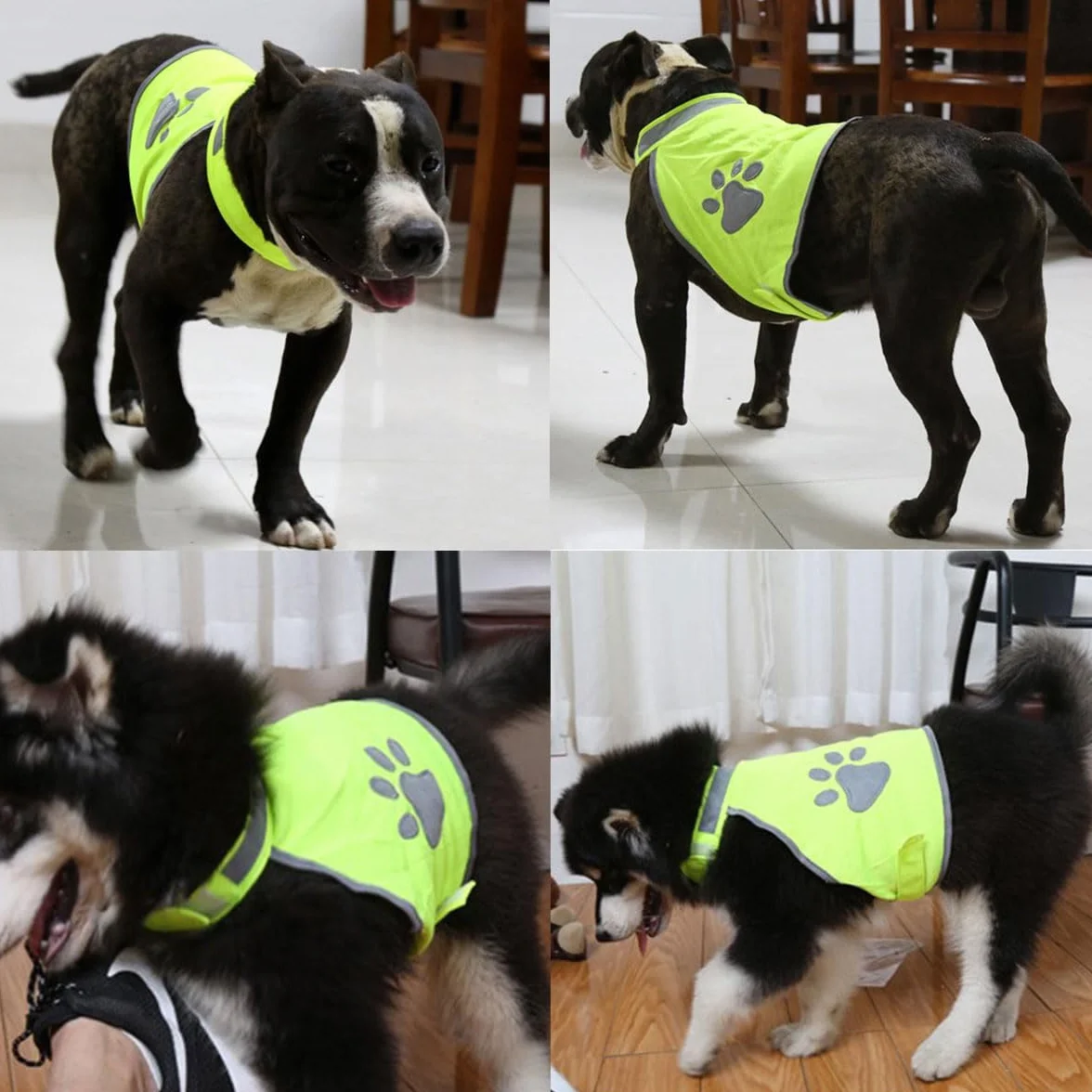 Gilet Réfléchissant pour Chien, Harnais de Sécurité, Veste Haute Visibilité, Taille L