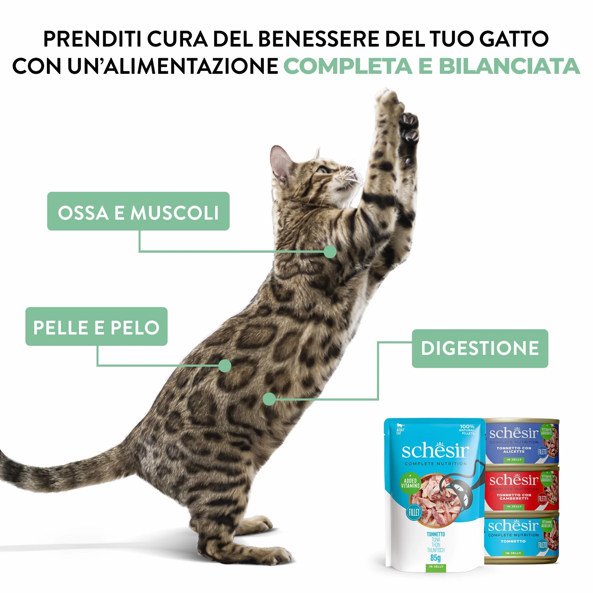 Schesir, Thon avec Saumon en gelée, Nourriture Humide complète pour Chats, en Conserve, avec des vitamines supplémentaires, 100% Naturel, 6 x 85 g