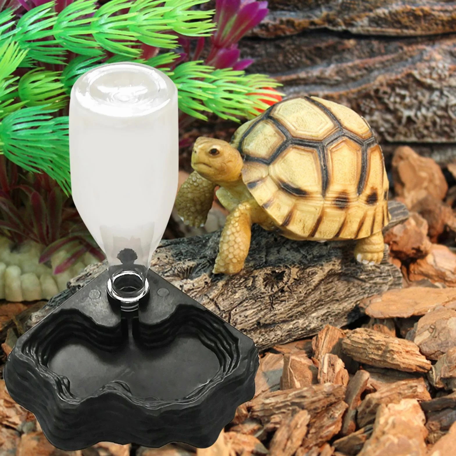 Distributeur d'eau pour Reptile, Abreuvoir Tortue, Bol Anti Debordement Plastique