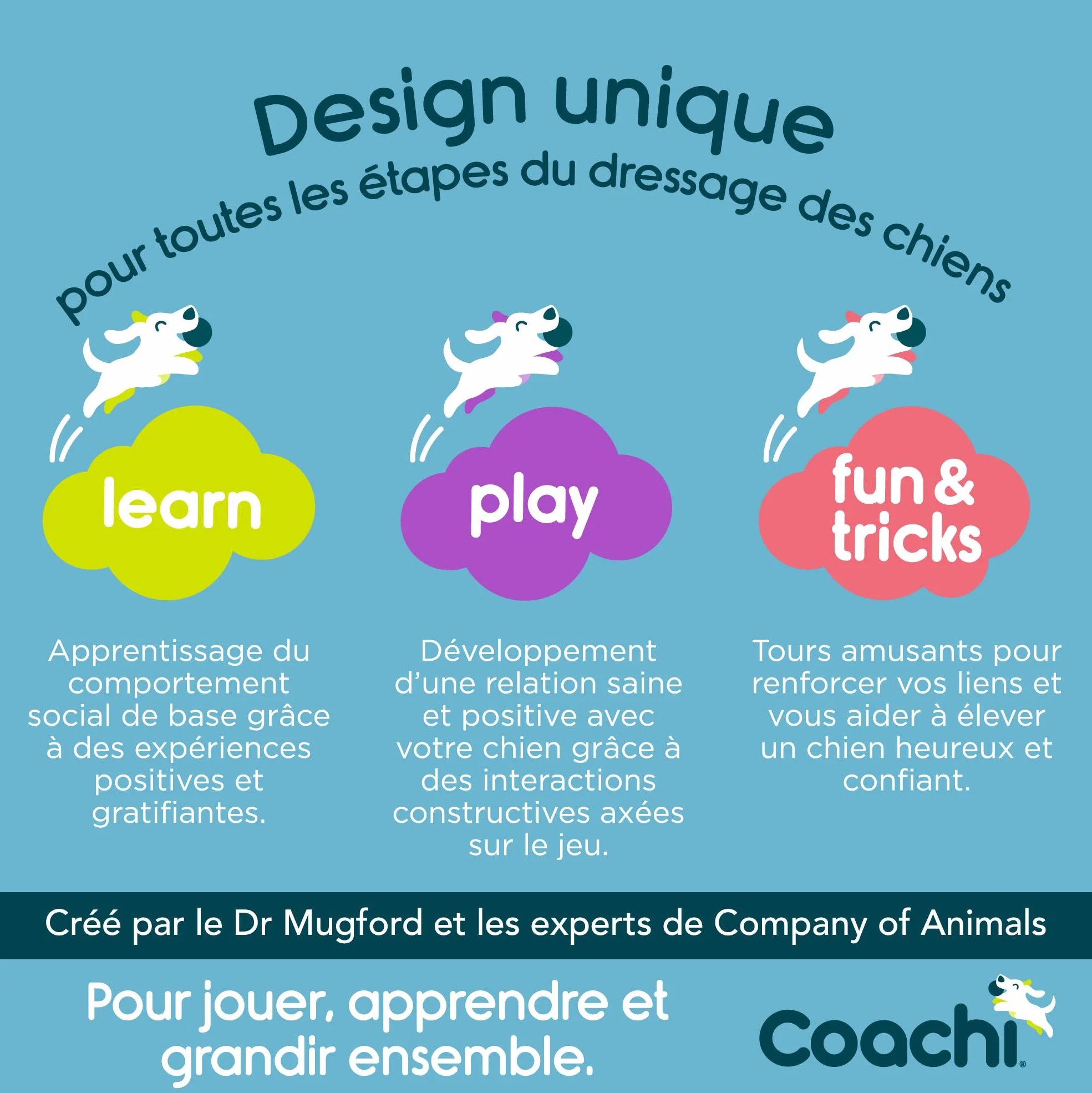 Training Line 10m Coachi imperméable Dressage en extérieur pour Moyens et Grands Chiens