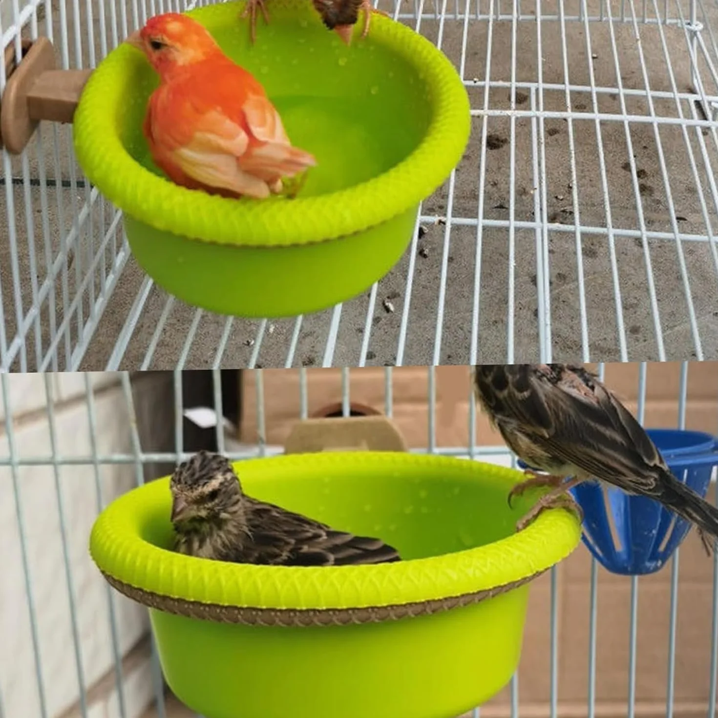 MEISO Baignoire Suspendue Pour Oiseaux, Douche Perroquets Canaris, Accessoire Cage Plastique