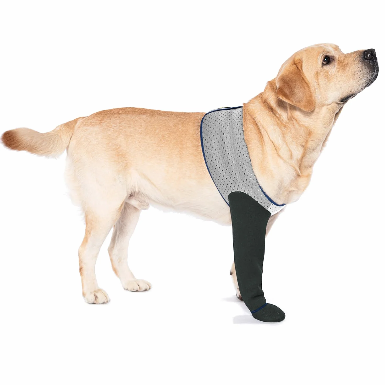 COODEO Chaussettes pour Chien, Bottes de Soin & Protecteurs de Pattes Anti-dérapants, Chaussures étanches (Gris, 3XL_Gauche)