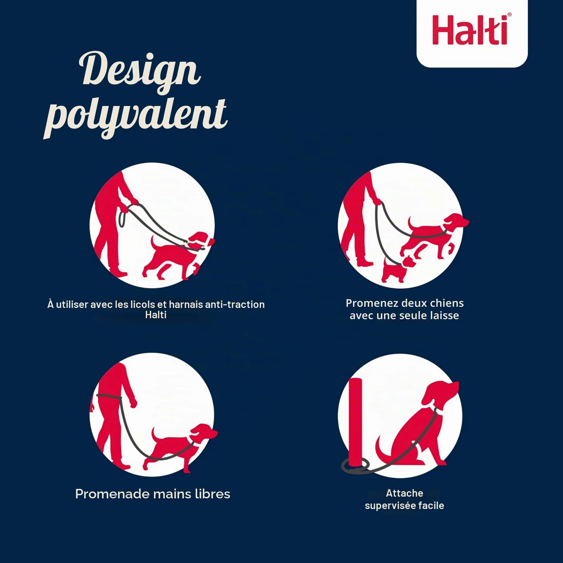 Laisse éducative HALTI - 7 Fonctions Conçues pour Vous Aider a Éduquer et Promener Votre Chien, Laisse de Dressage de Chien à Double Extrémité pour Chiens et Chiots (Taille L, Sable du Désert, 2m)