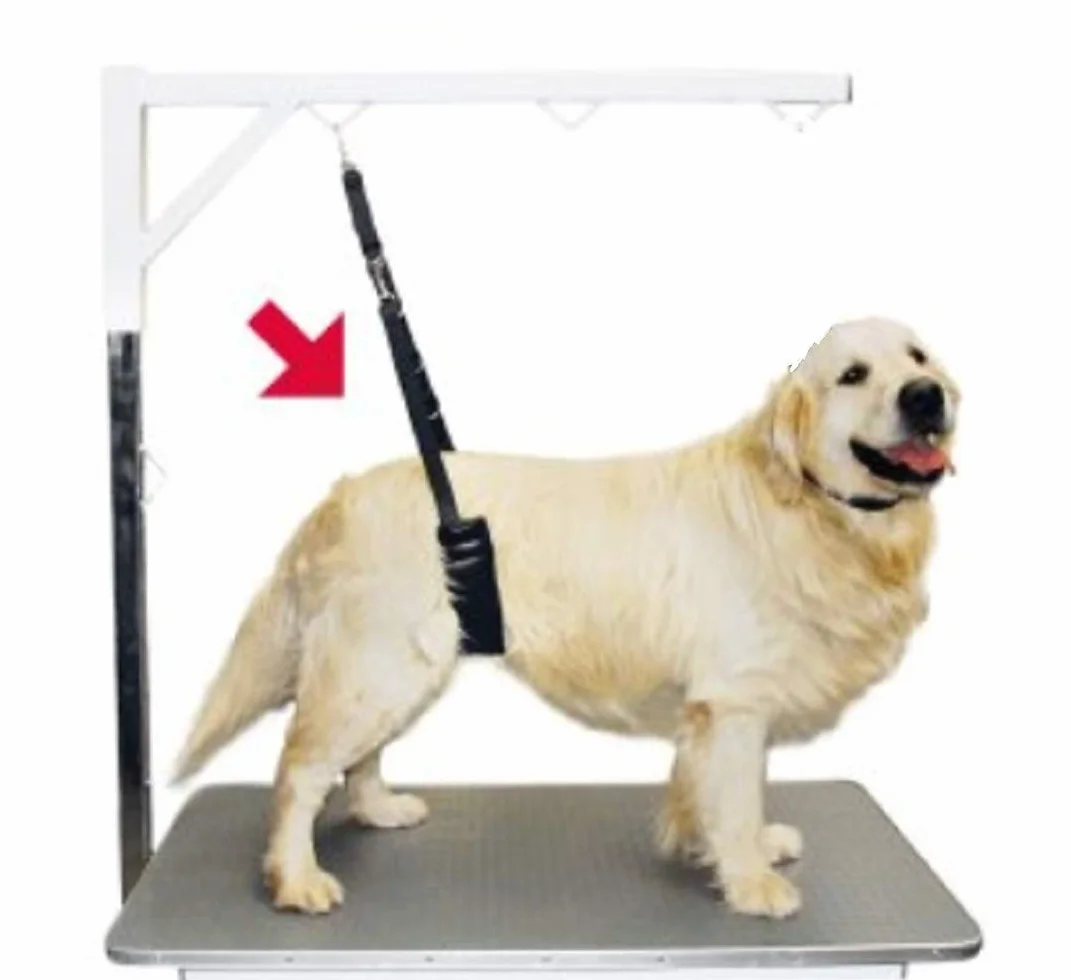 Show Tech - Sangle de toilettage Ventrale Confort : Grand Chien