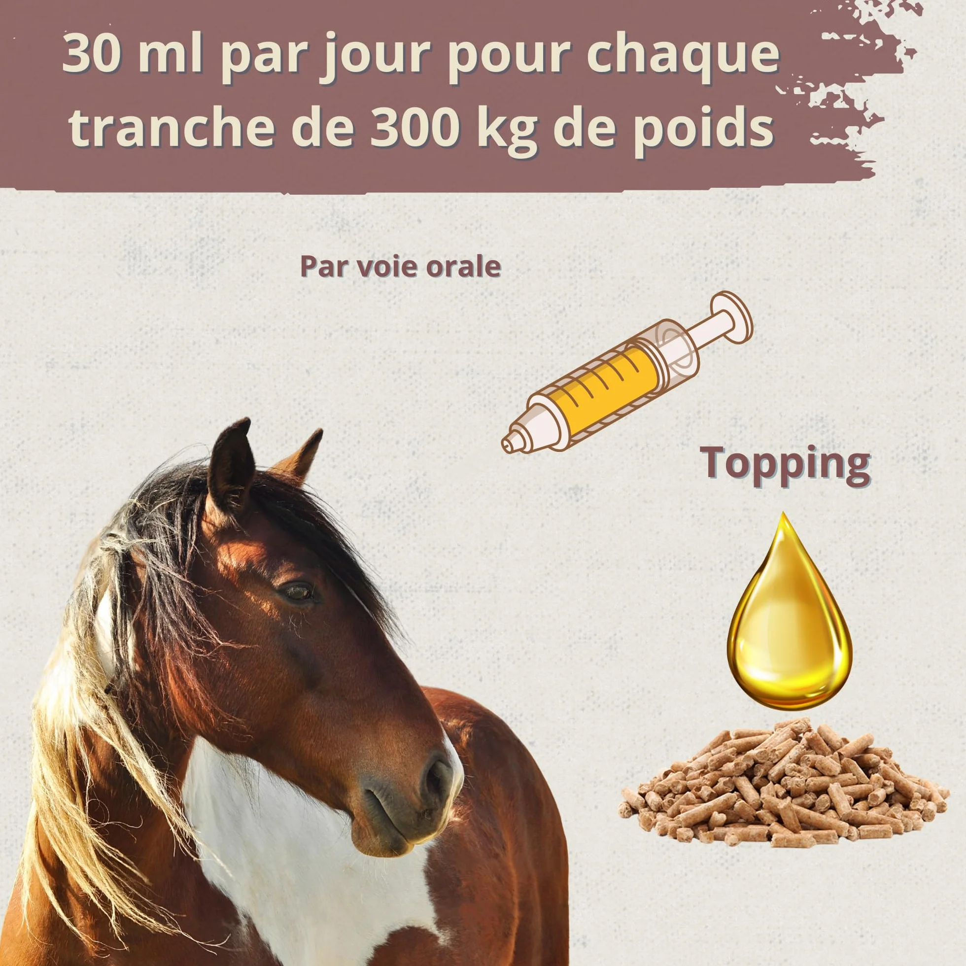 Promocare - Vitamines pour Chevaux 1 L avec acides aminés Essentiels et antioxydants - Complexe vitaminique B, E, C et A - Soutien au métabolisme, à l'énergie, à la récupération