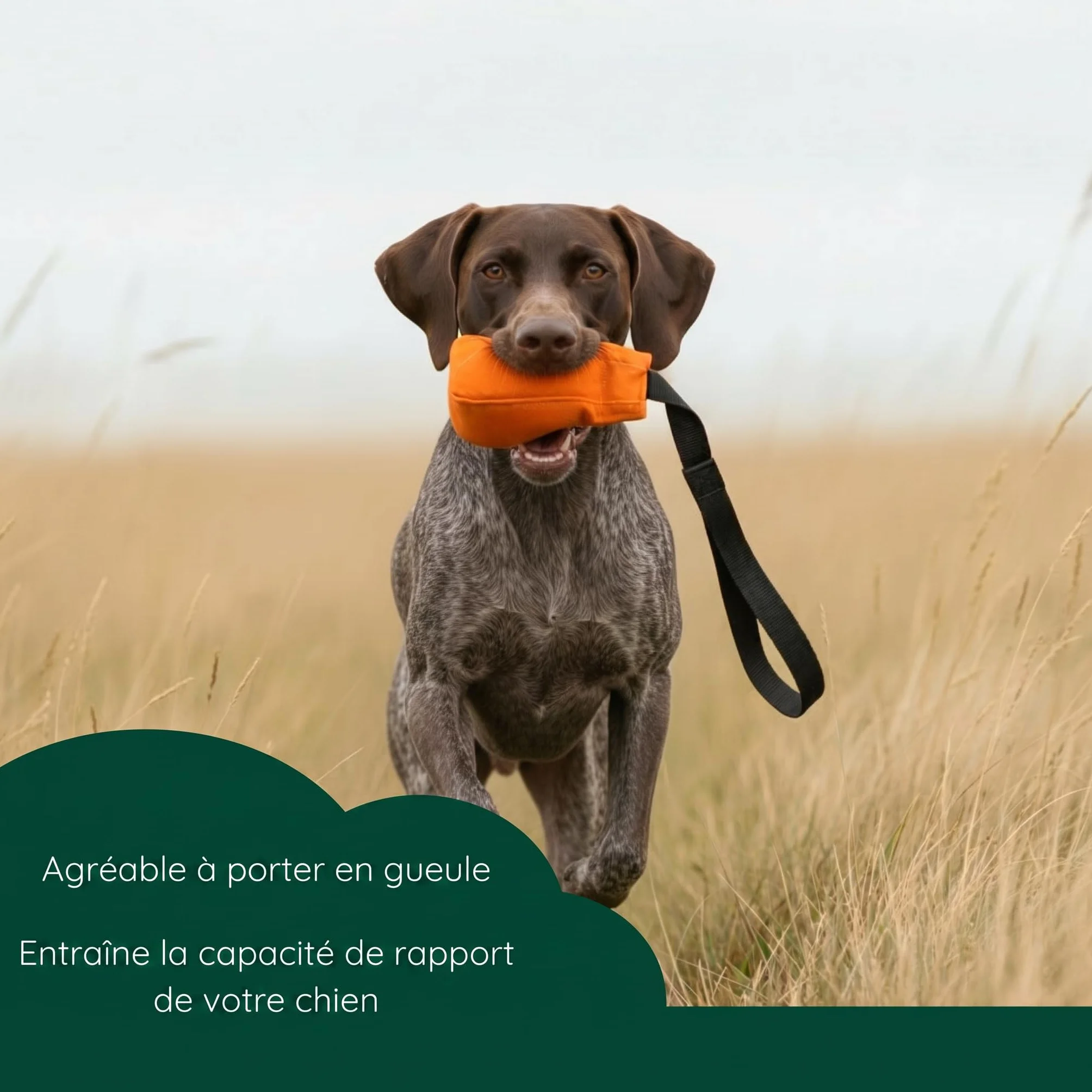 Romneys Dummy Ball SpeedUp 150 g Avec ruban extra long Orange