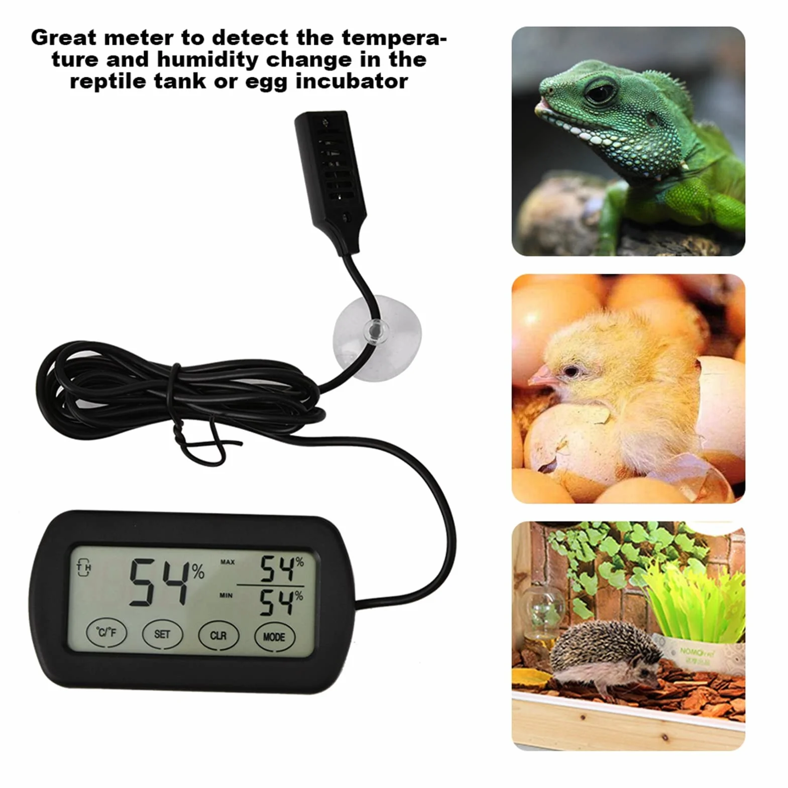 Incubateur d'œufs avec écran LCD, Réservoir de Reptiles, Thermomètre et Hygromètre Numérique
