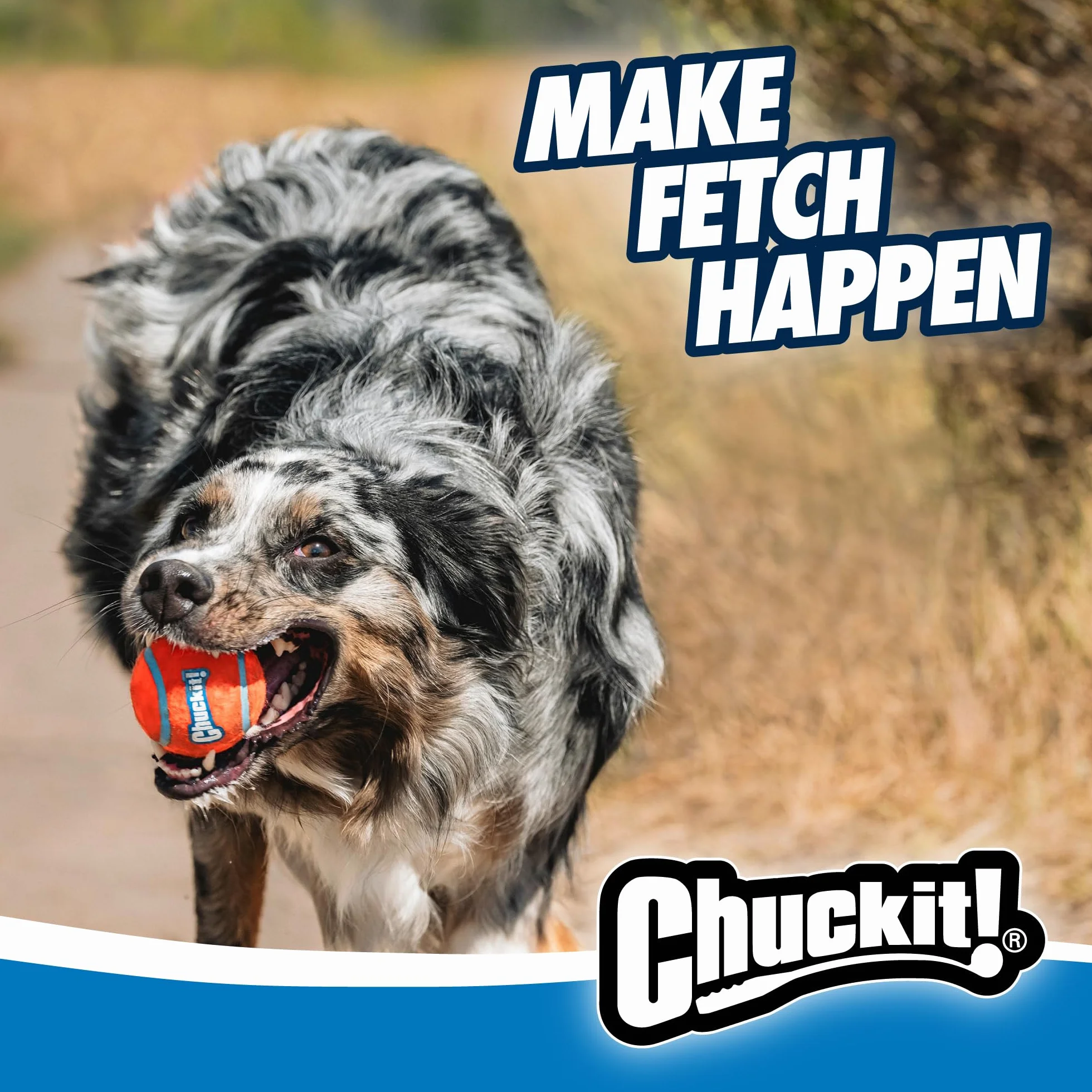 Chuckit Sport 12 Lanceur de Balle Jouet pour Chien Taille M