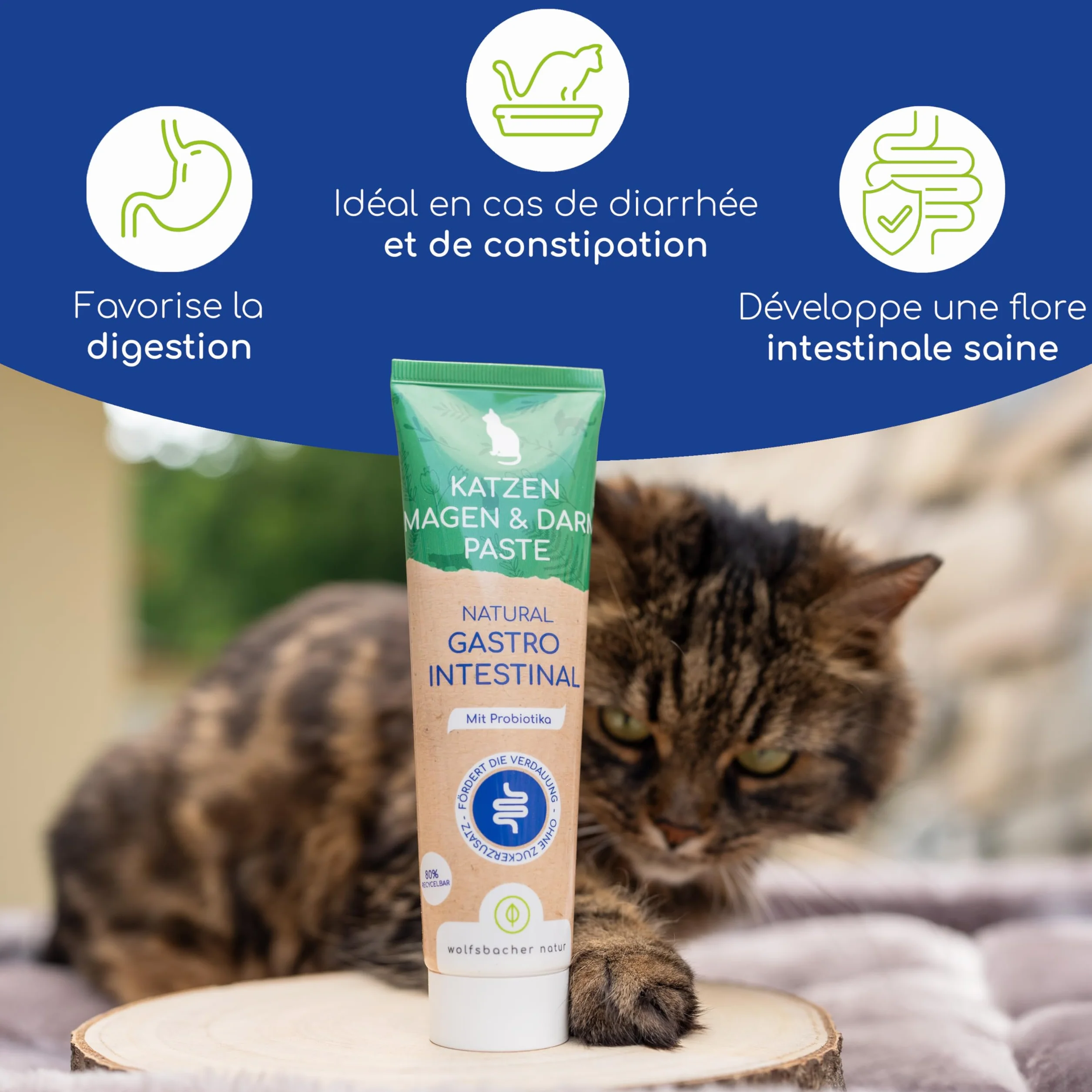 Pâte Gastro-Intestinale pour Chats avec Probiotiques & Écorce d'Orme 100g