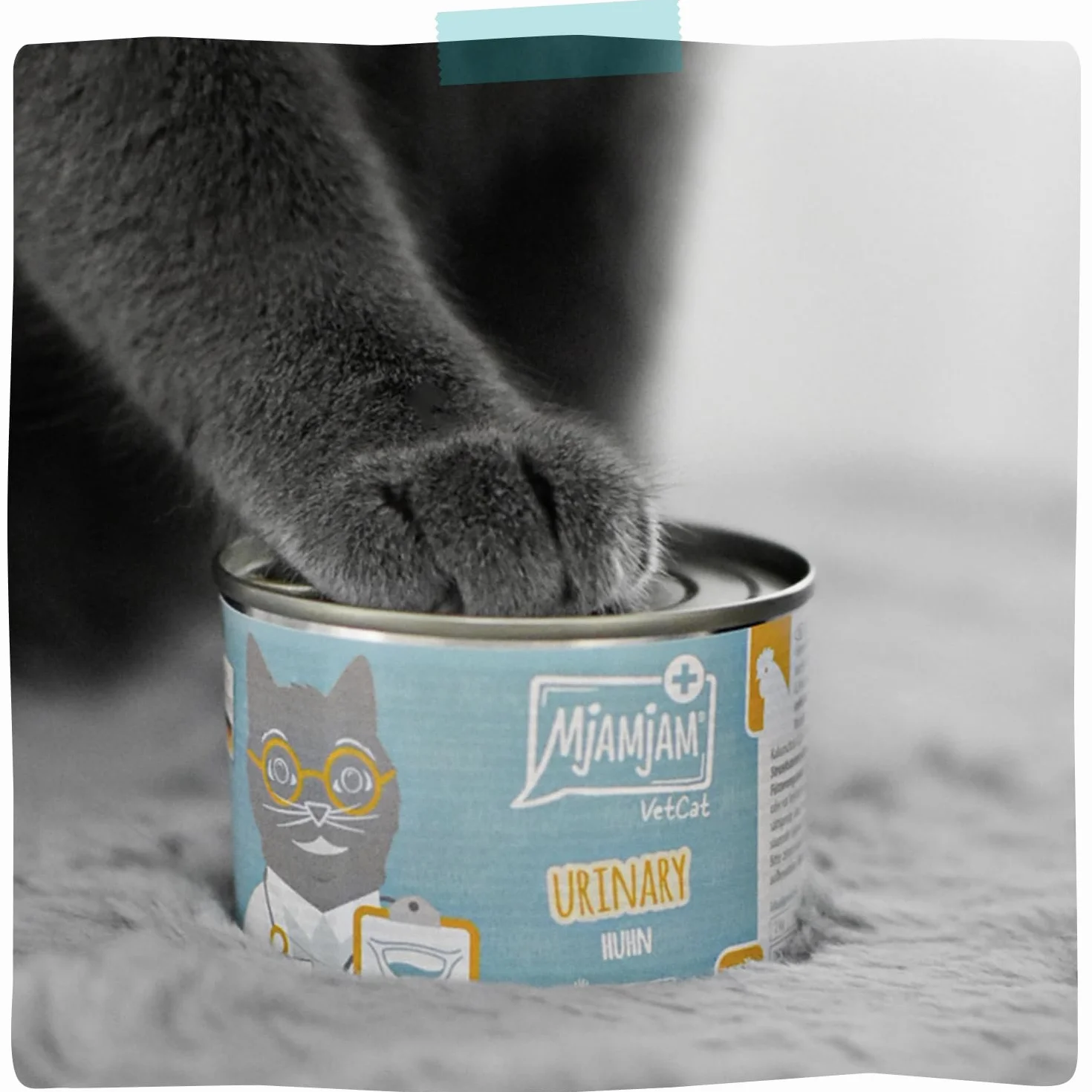 MjAMjAM VetCat - Premium Nourriture Humide pour Chats - Régime - Urinary - Poulet, Paquet de 6 (6 x 200g), sans céréales