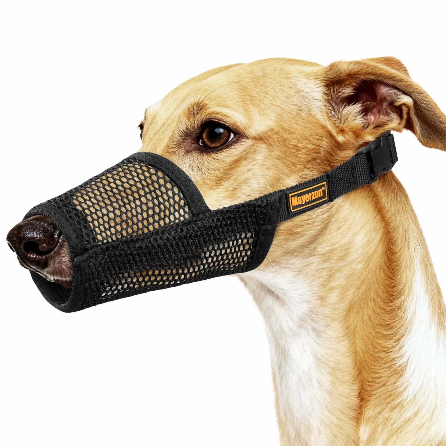 Mayerzon Greyhound – Muselière pour Chien Whippet – Muselière en Maille Souple pour éviter Les morsures excessives et Les mastications – Convient pour Le toilettage, la Promenade et Les visites chez