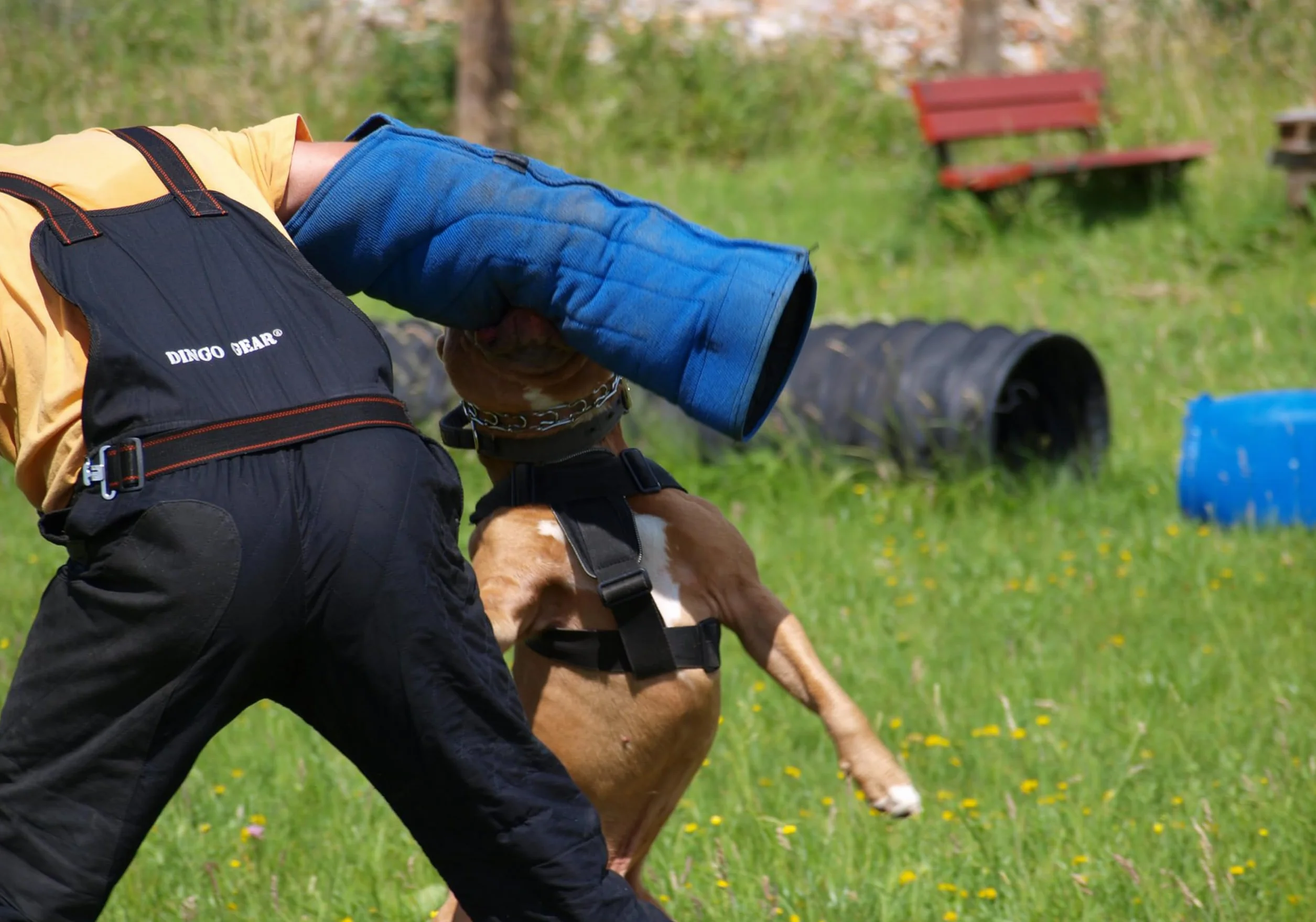 Manchette de Morsure en Nylcot Midi Souple avec Poignée, Protection pour IGP, Sports Canins, Noir Niveau 3