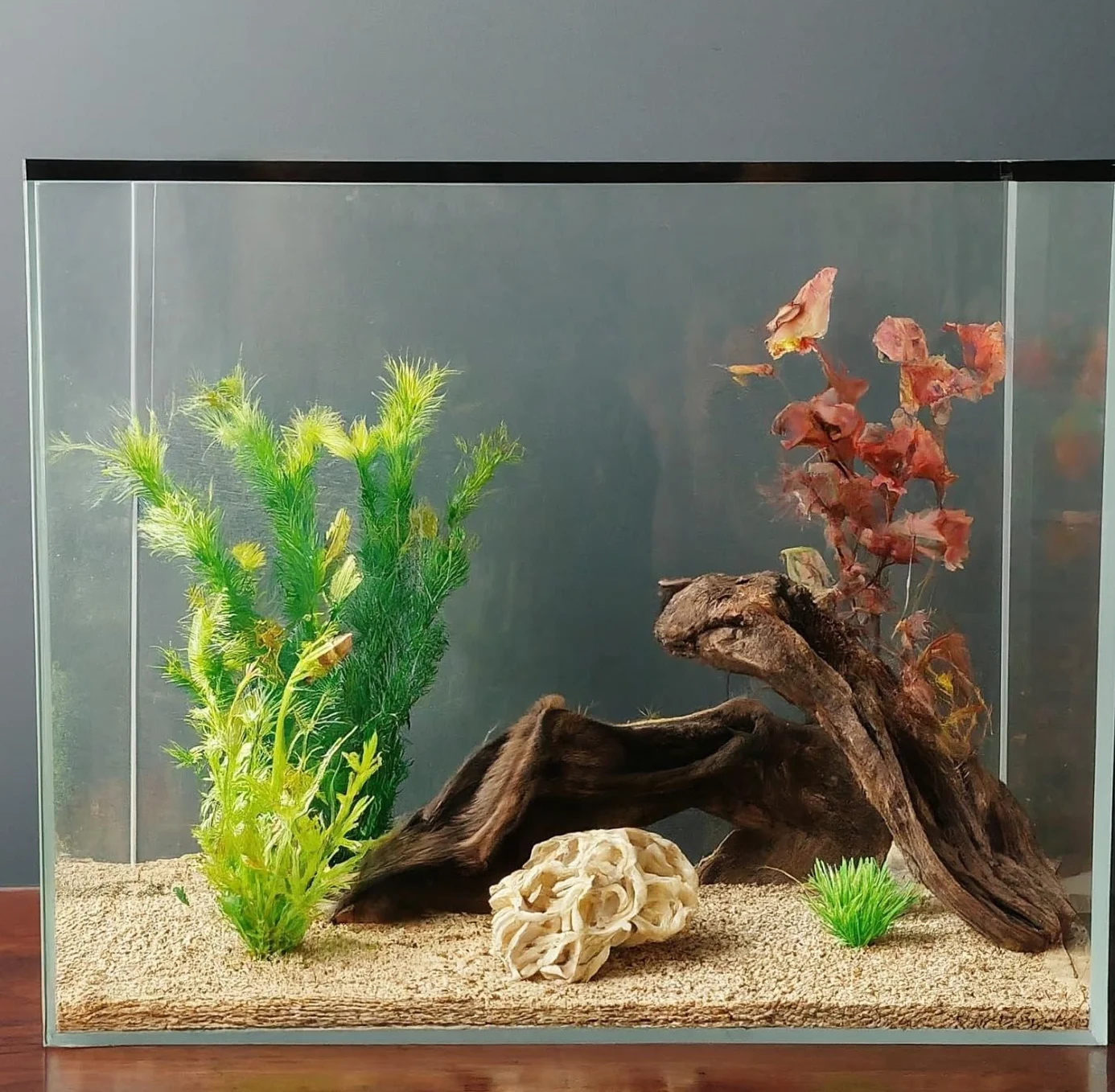 Cuve en Verre Extra-Clair pour Aquarium - Base de Votre Aquarium - 15 litres - 35x20x25 cm - Grande Résistance -Fabrication Européenne