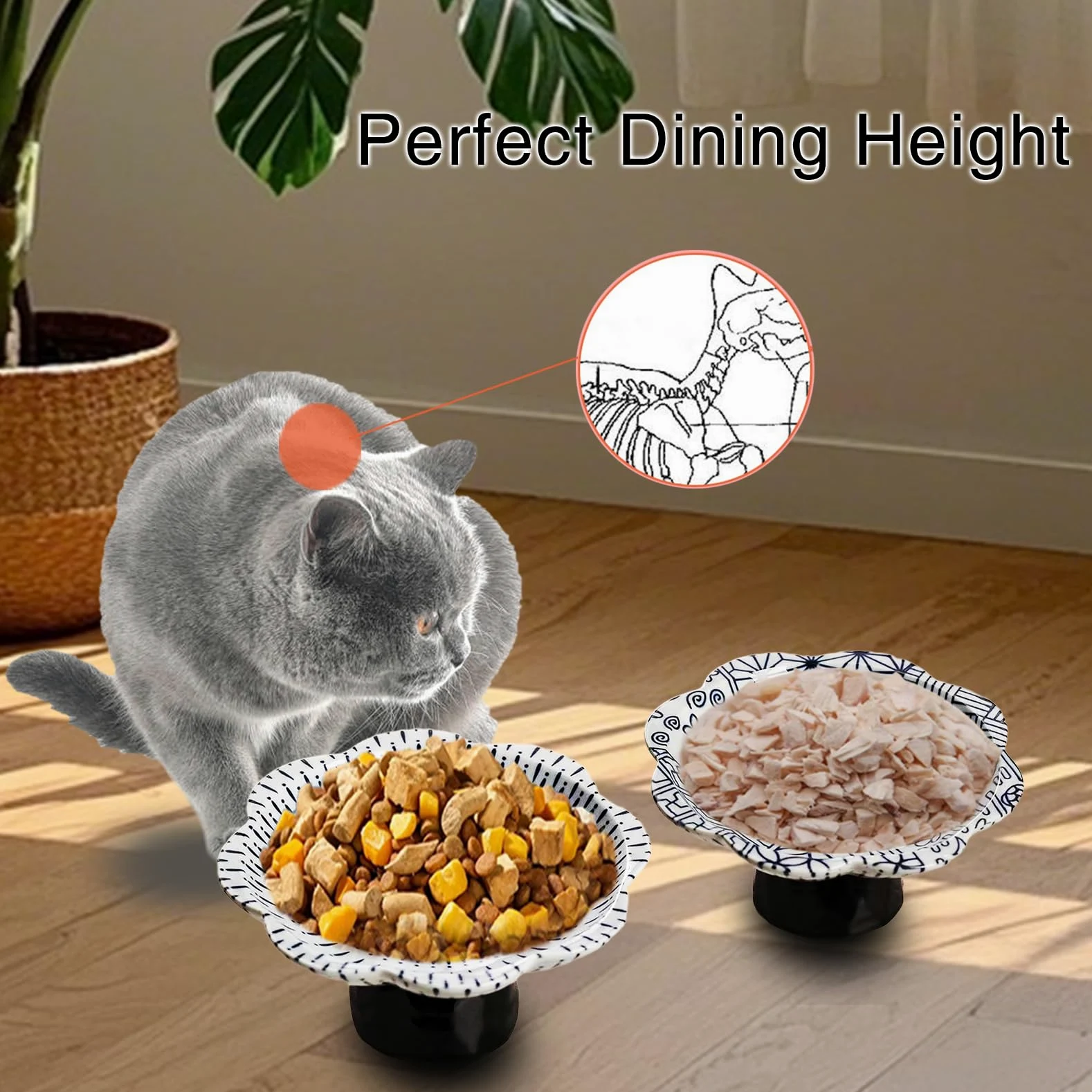 Gamelle surélevée en céramique pour chat - Gamelle à eau inclinée - Anti-vomissements et protège la colonne vertébrale des animaux de compagnie - Pour petits chiens, chats à face grasse, chaton (A)