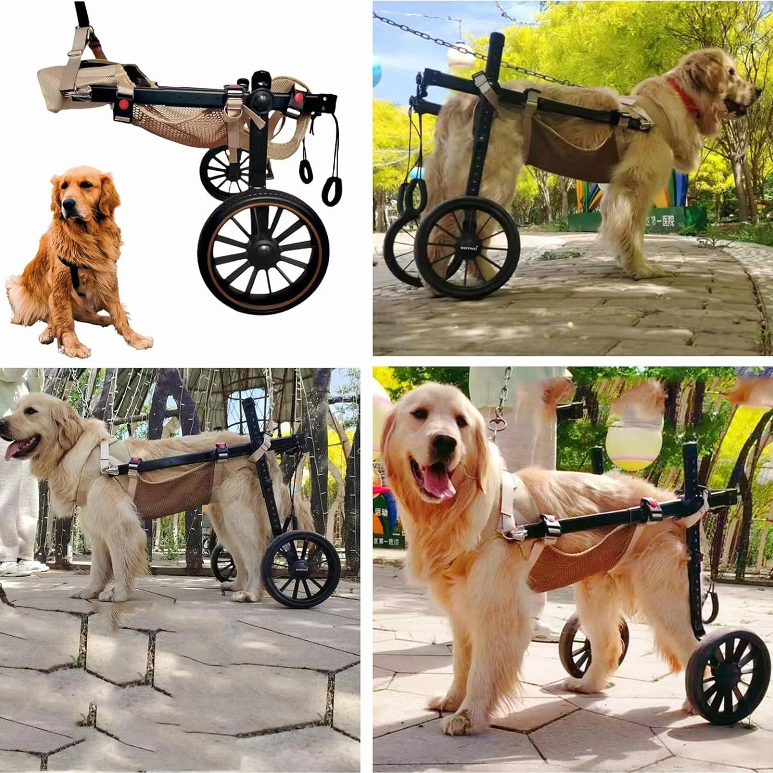 Fauteuil Roulant Pour Chien Pattes Arrière 2 Roues Attelle Exercice Marcheur Handicapé Aide Marche Blessés Paralysés Chariot Animaux Petite Moyenne Grande Taille XL Bleu