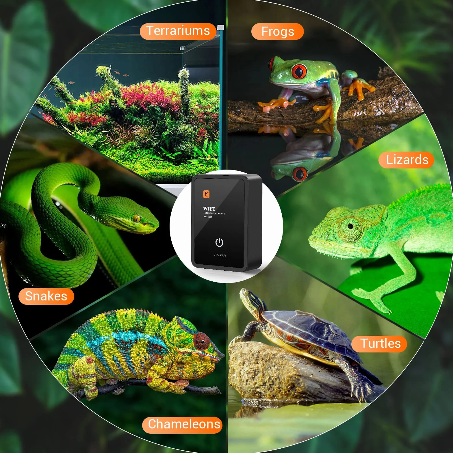 Système de Brumisation Intelligent pour Reptiles Automatique Double Tête Réglable 360° Terrarium