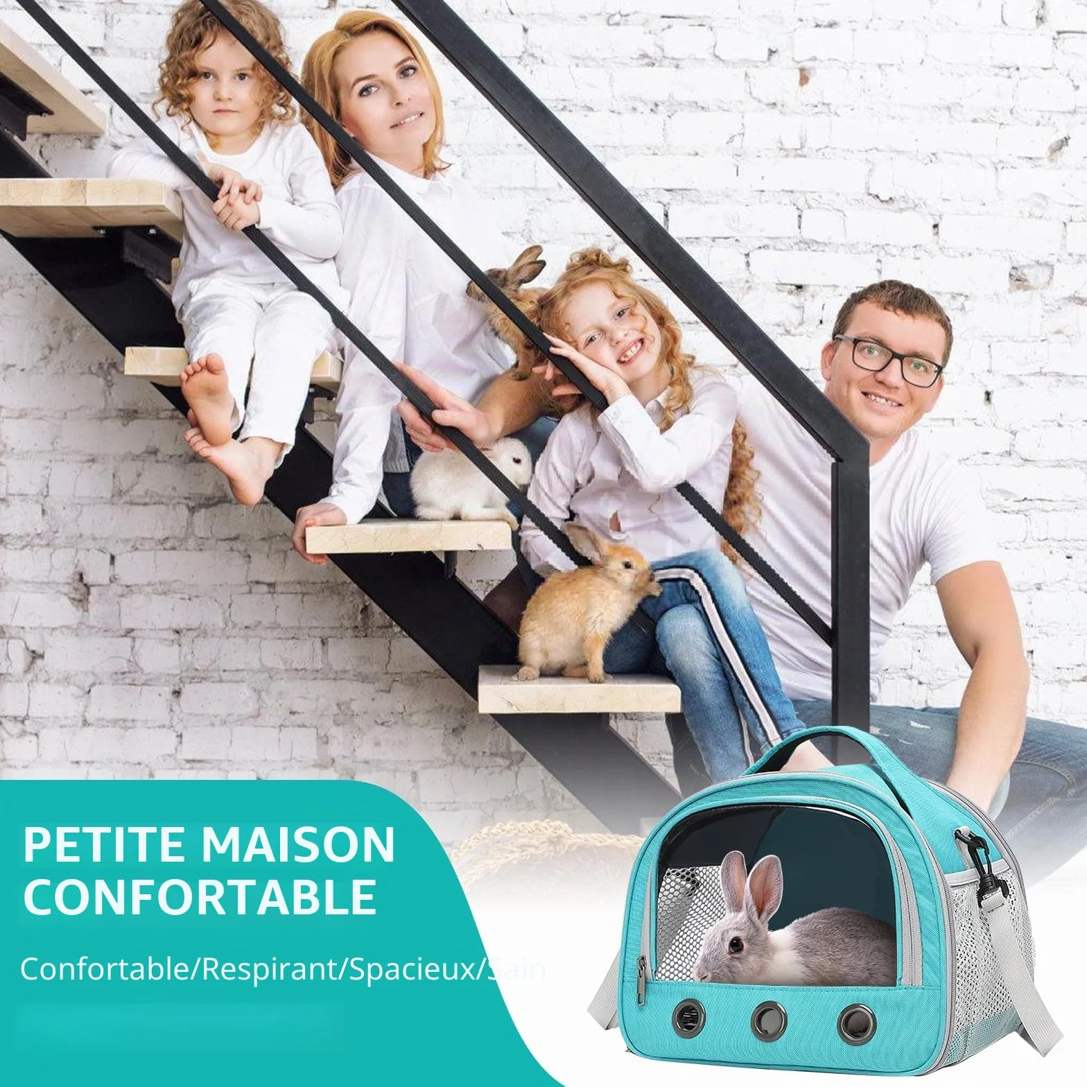 Sac de Transport pour Petits Animaux 30x27x21 cm Cage Portable Oiseaux Rats Cochons d'Inde